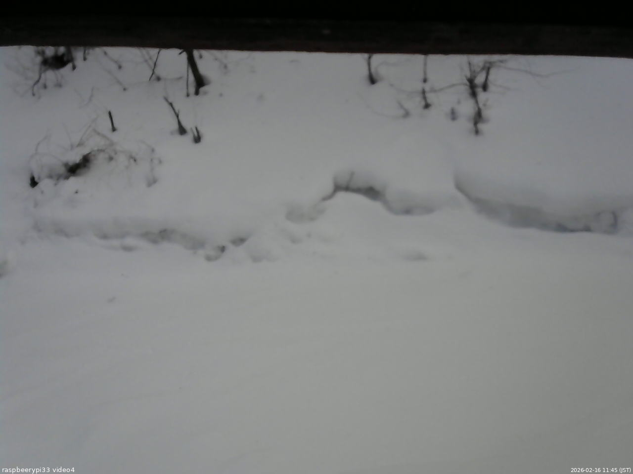 長野県菅平高原 ゆたか山荘 東側(坂下) 2026/02/16 11:45
