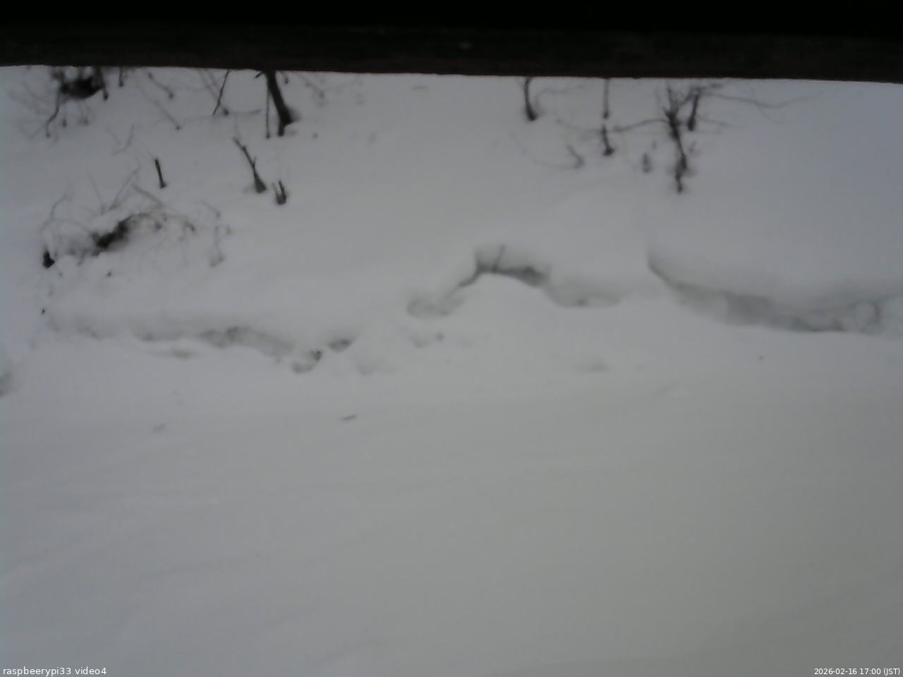 長野県菅平高原 ゆたか山荘 東側(坂下) 2026/02/16 17:00