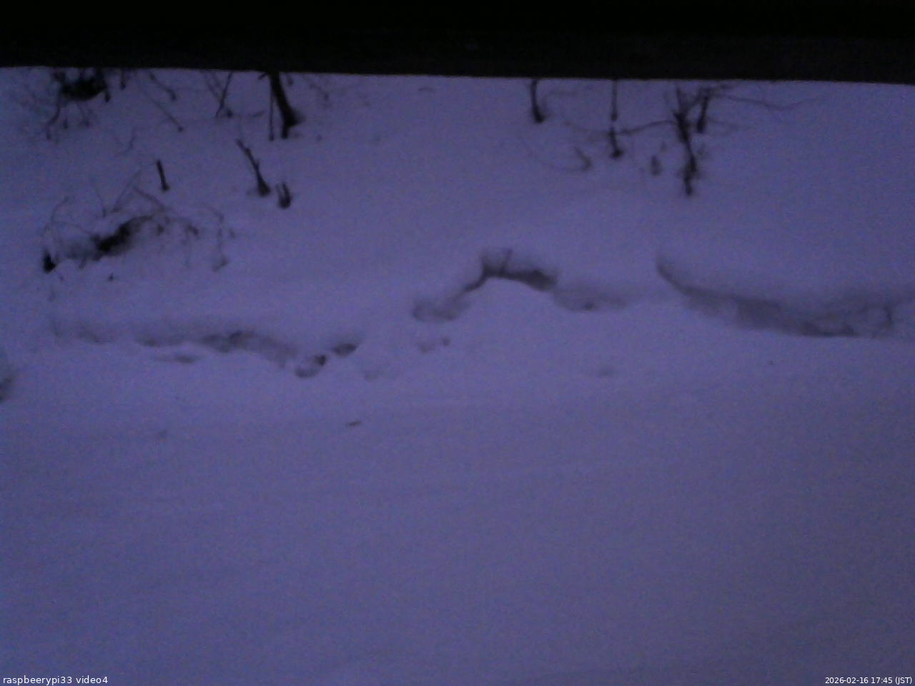 長野県菅平高原 ゆたか山荘 東側(坂下) 2026/02/16 17:45