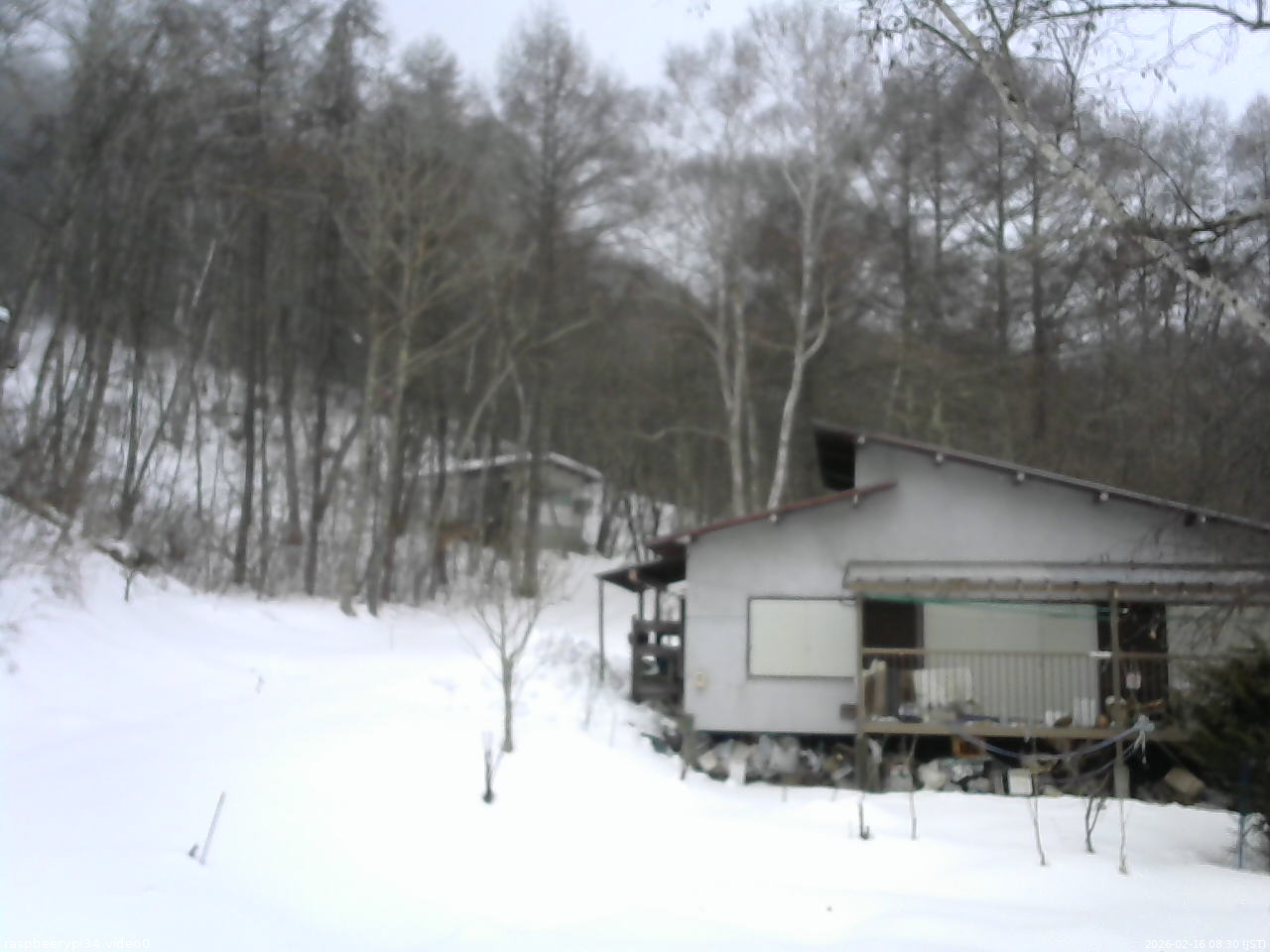 長野県菅平高原 ゆたか山荘 西側(坂上) 2026/02/16 08:30