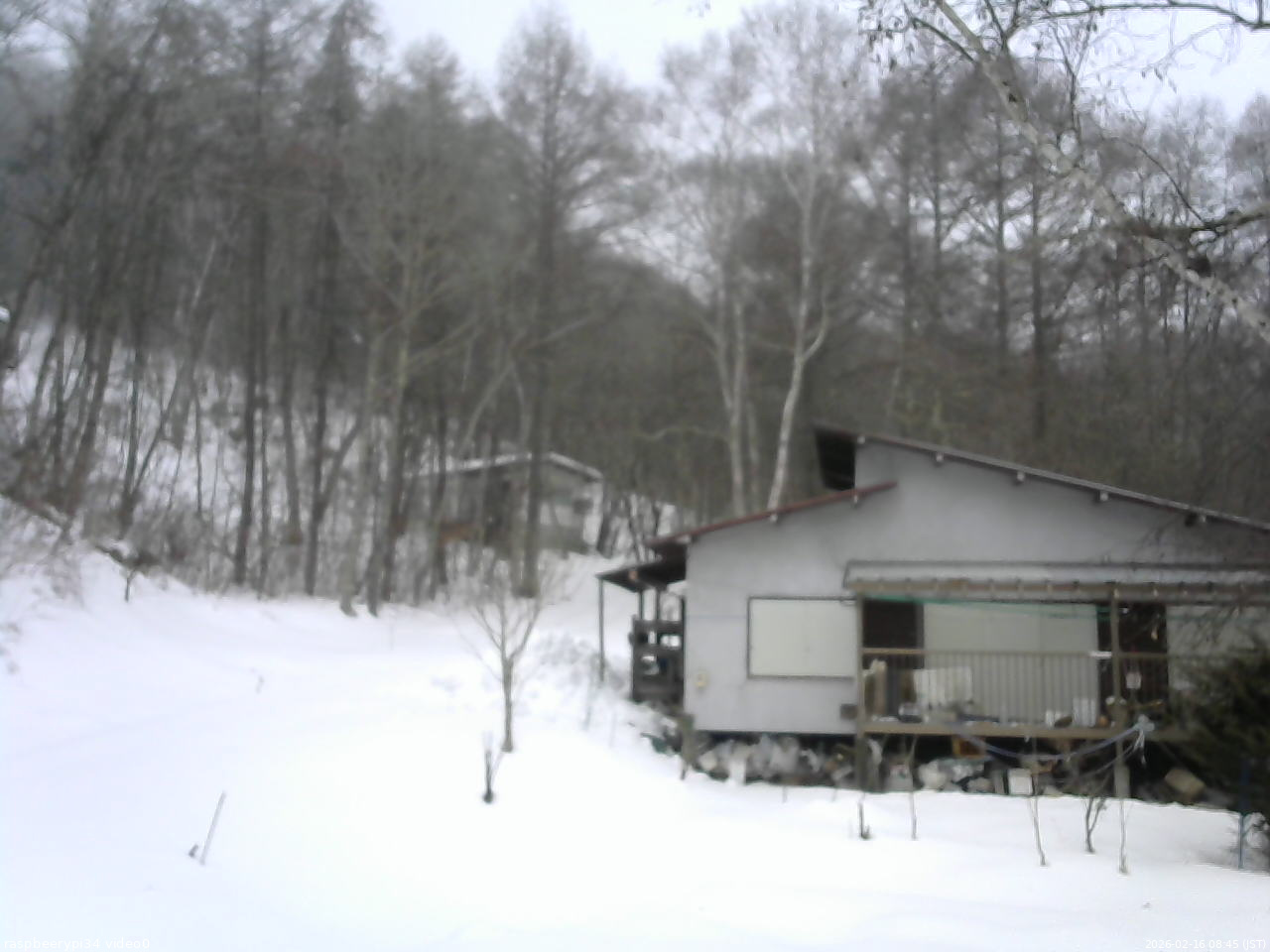 長野県菅平高原 ゆたか山荘 西側(坂上) 2026/02/16 08:45