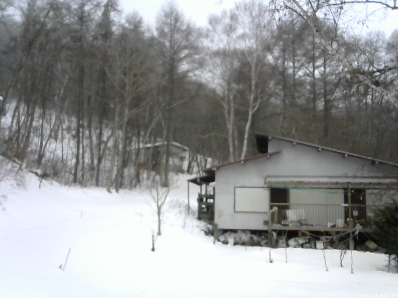 長野県菅平高原 ゆたか山荘 西側(坂上) 2026/02/16 09:15
