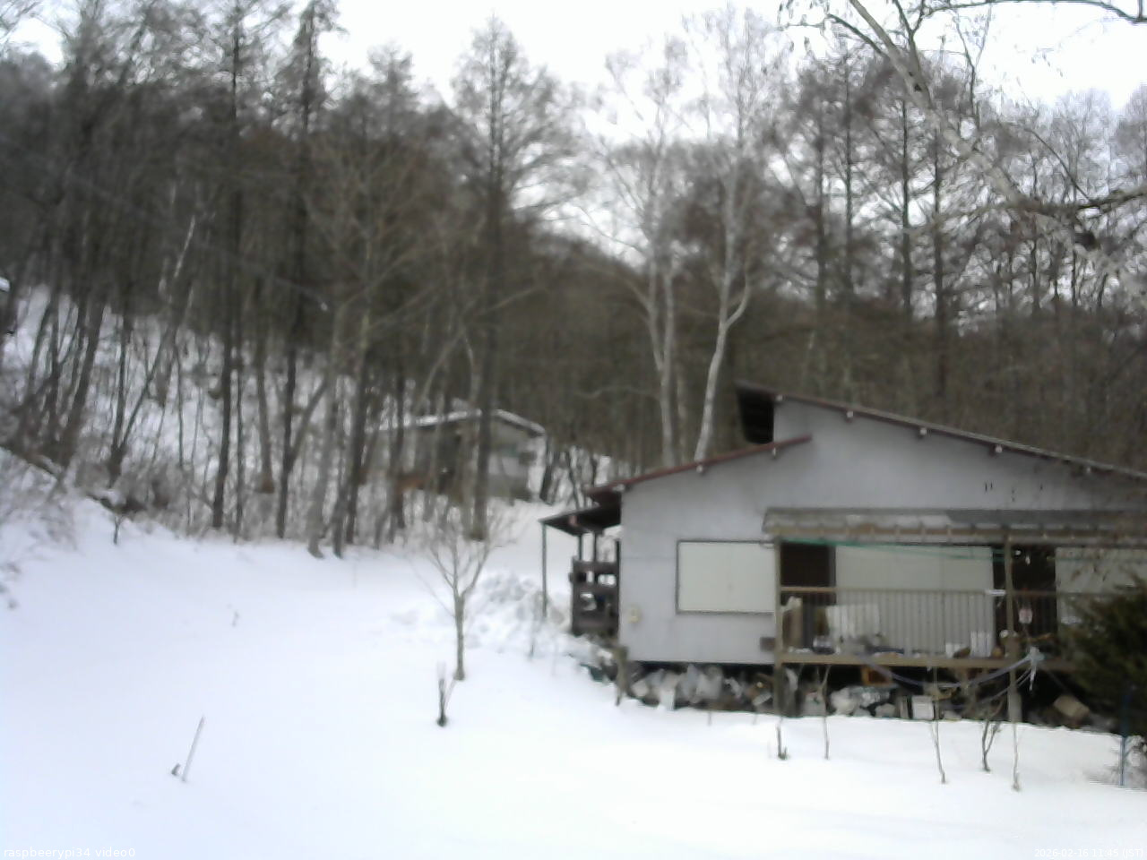 長野県菅平高原 ゆたか山荘 西側(坂上) 2026/02/16 11:45