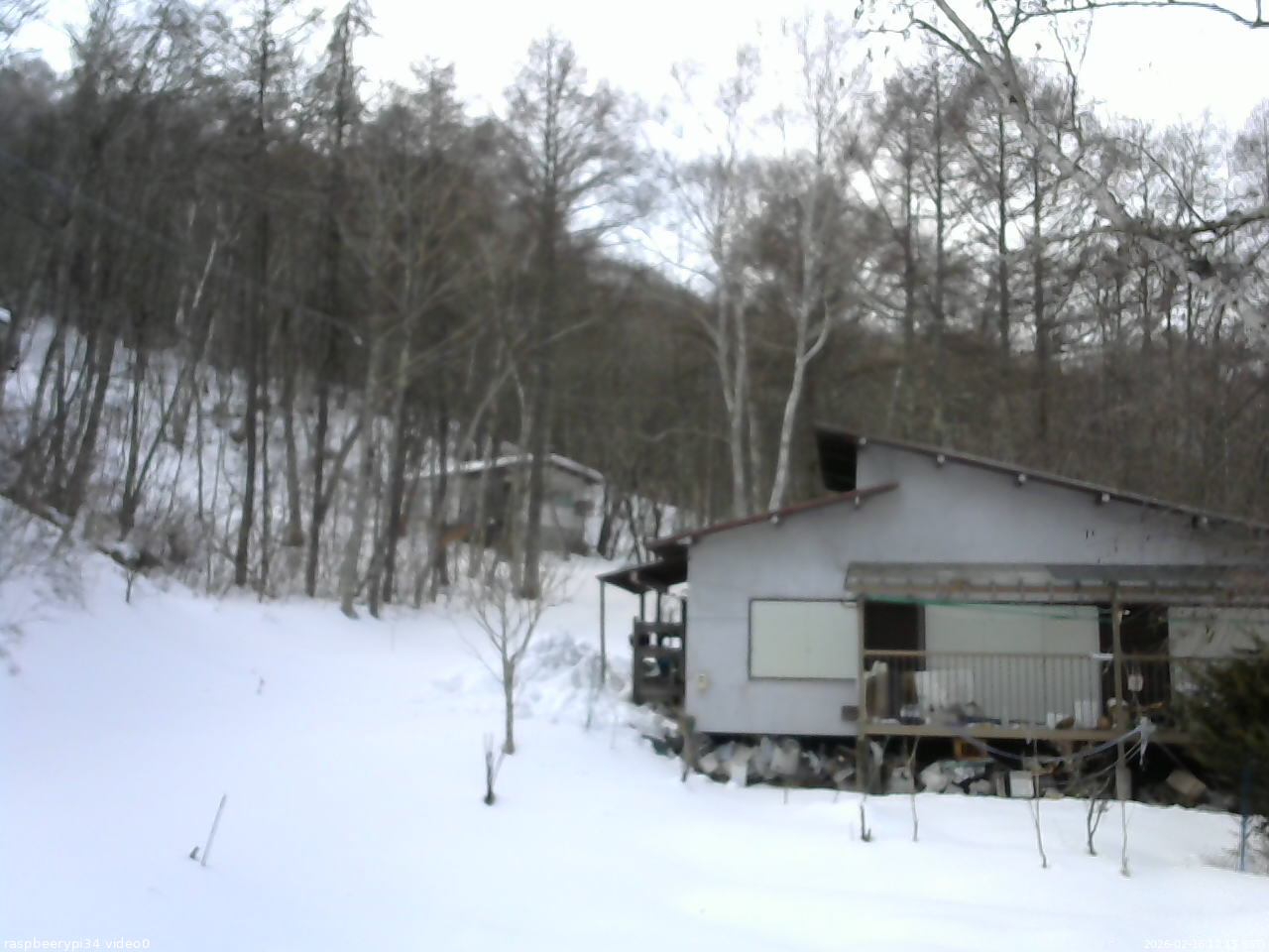 長野県菅平高原 ゆたか山荘 西側(坂上) 2026/02/16 12:15