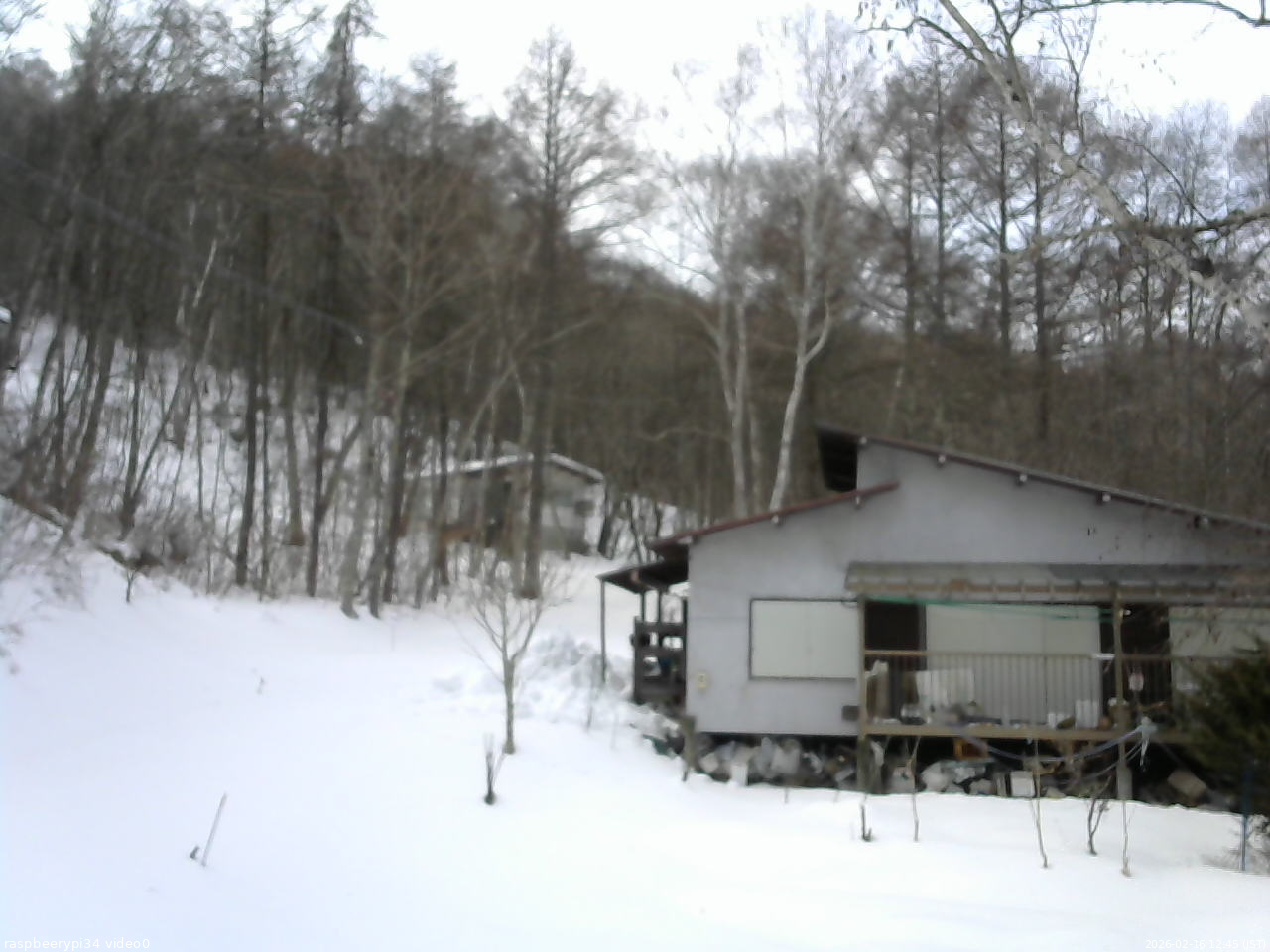 長野県菅平高原 ゆたか山荘 西側(坂上) 2026/02/16 12:45