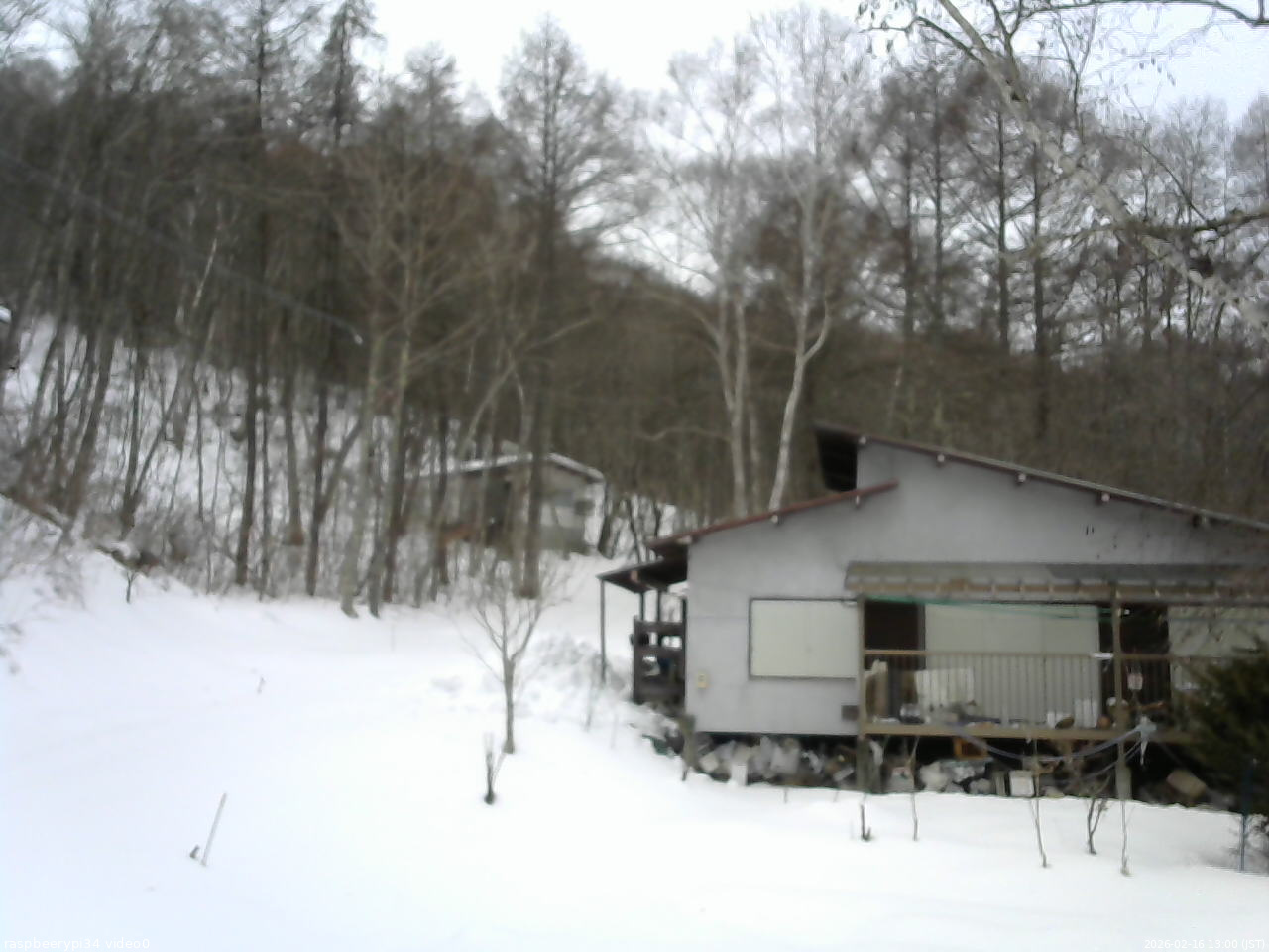 長野県菅平高原 ゆたか山荘 西側(坂上) 2026/02/16 13:00