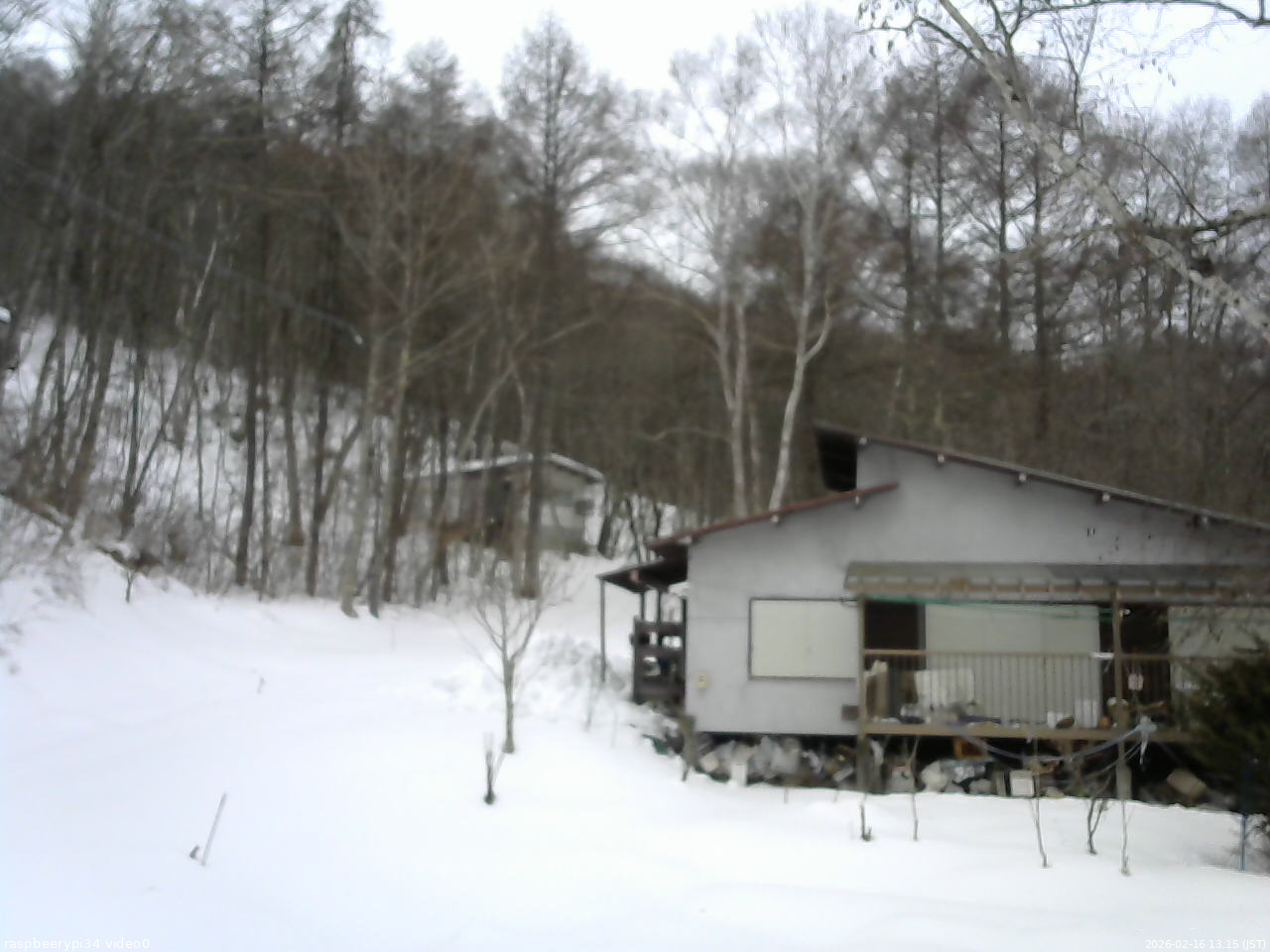 長野県菅平高原 ゆたか山荘 西側(坂上) 2026/02/16 13:15