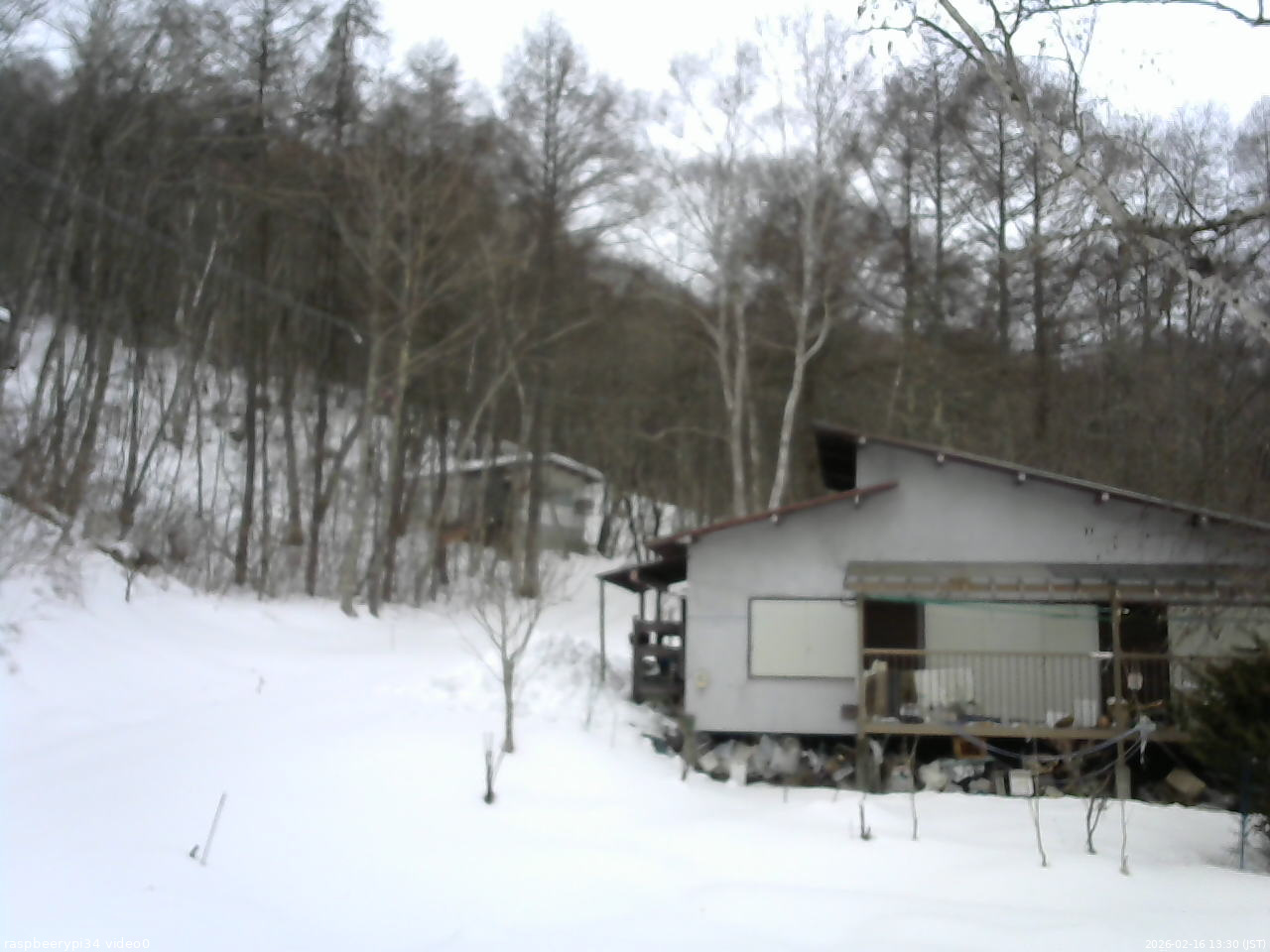 長野県菅平高原 ゆたか山荘 西側(坂上) 2026/02/16 13:30