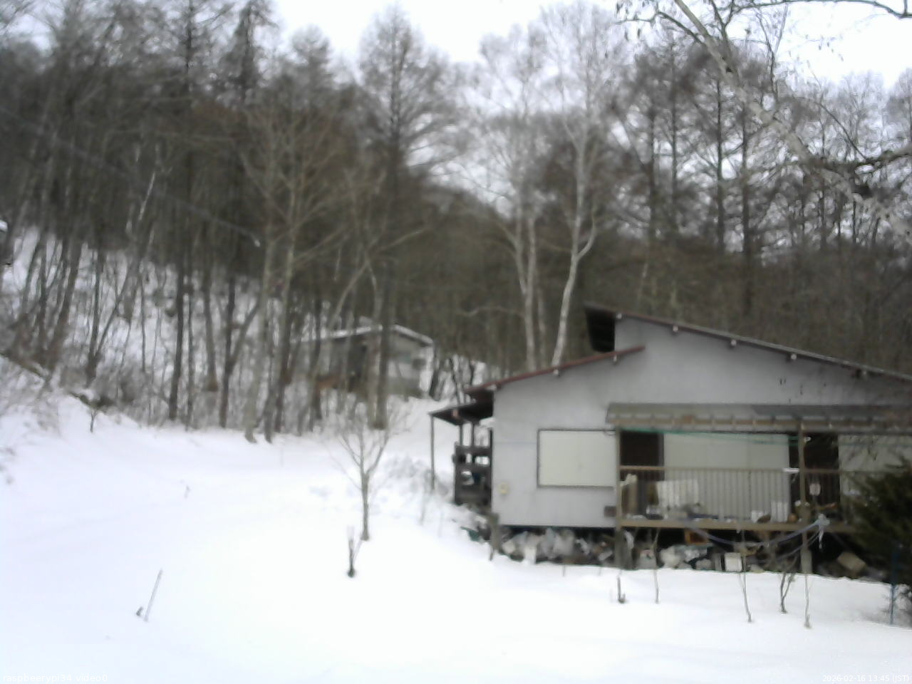 長野県菅平高原 ゆたか山荘 西側(坂上) 2026/02/16 13:45