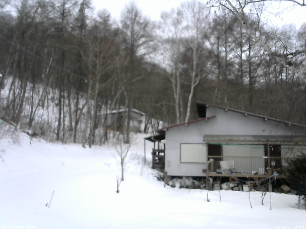 長野県菅平高原 ゆたか山荘 西側(坂上) 2026/02/16 15:45