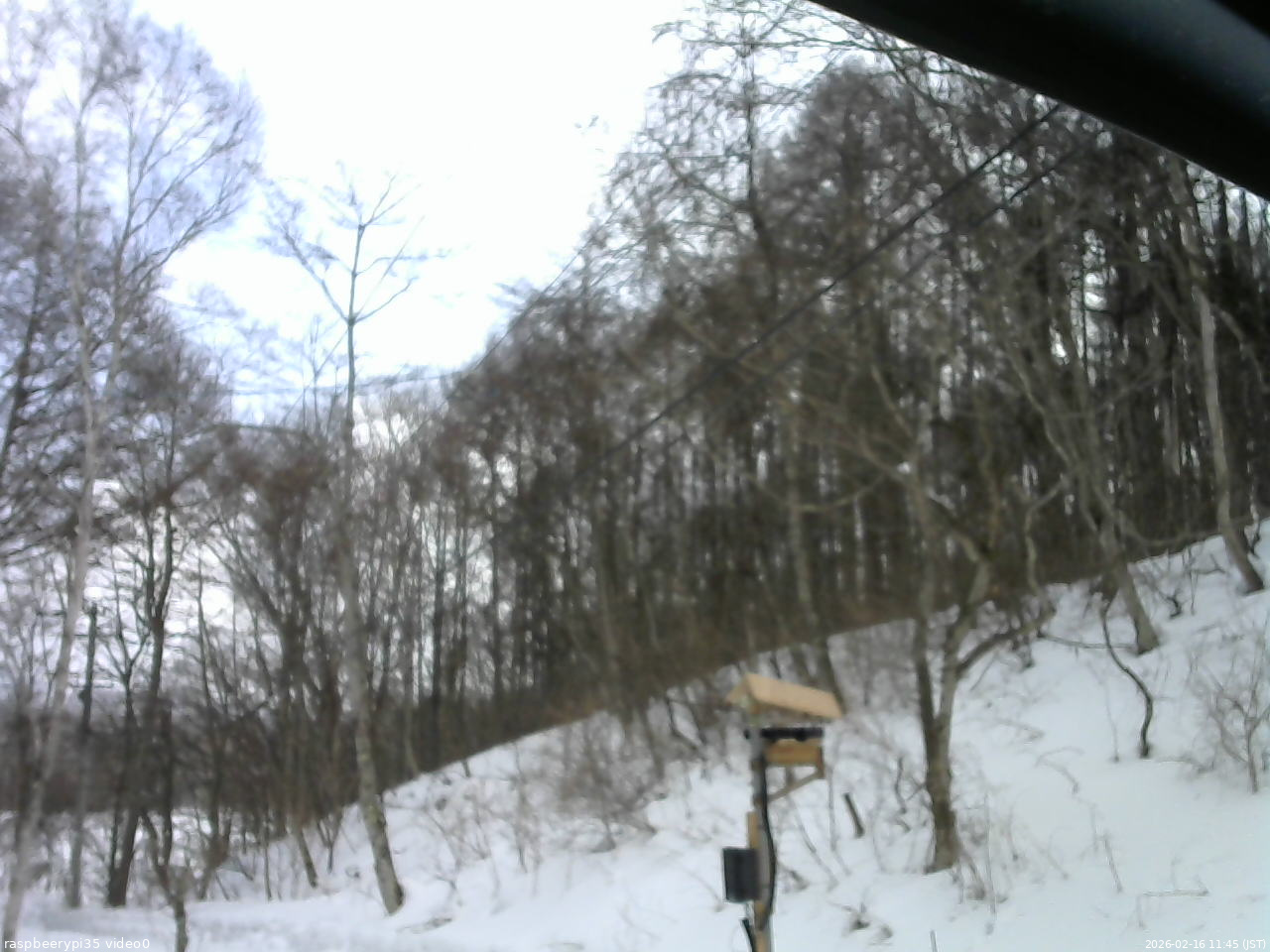 長野県菅平高原 ゆたか山荘 温度計 2026/02/16 11:45