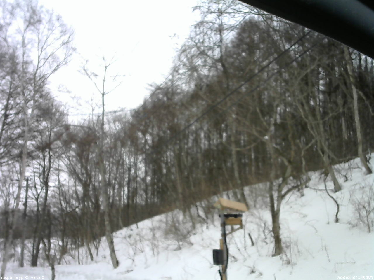 長野県菅平高原 ゆたか山荘 温度計 2026/02/16 13:45