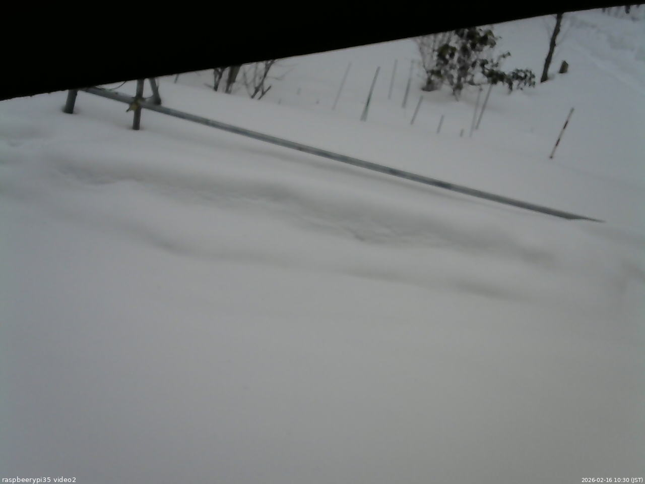 長野県菅平高原 ゆたか山荘 駐車場 2026/02/16 10:30