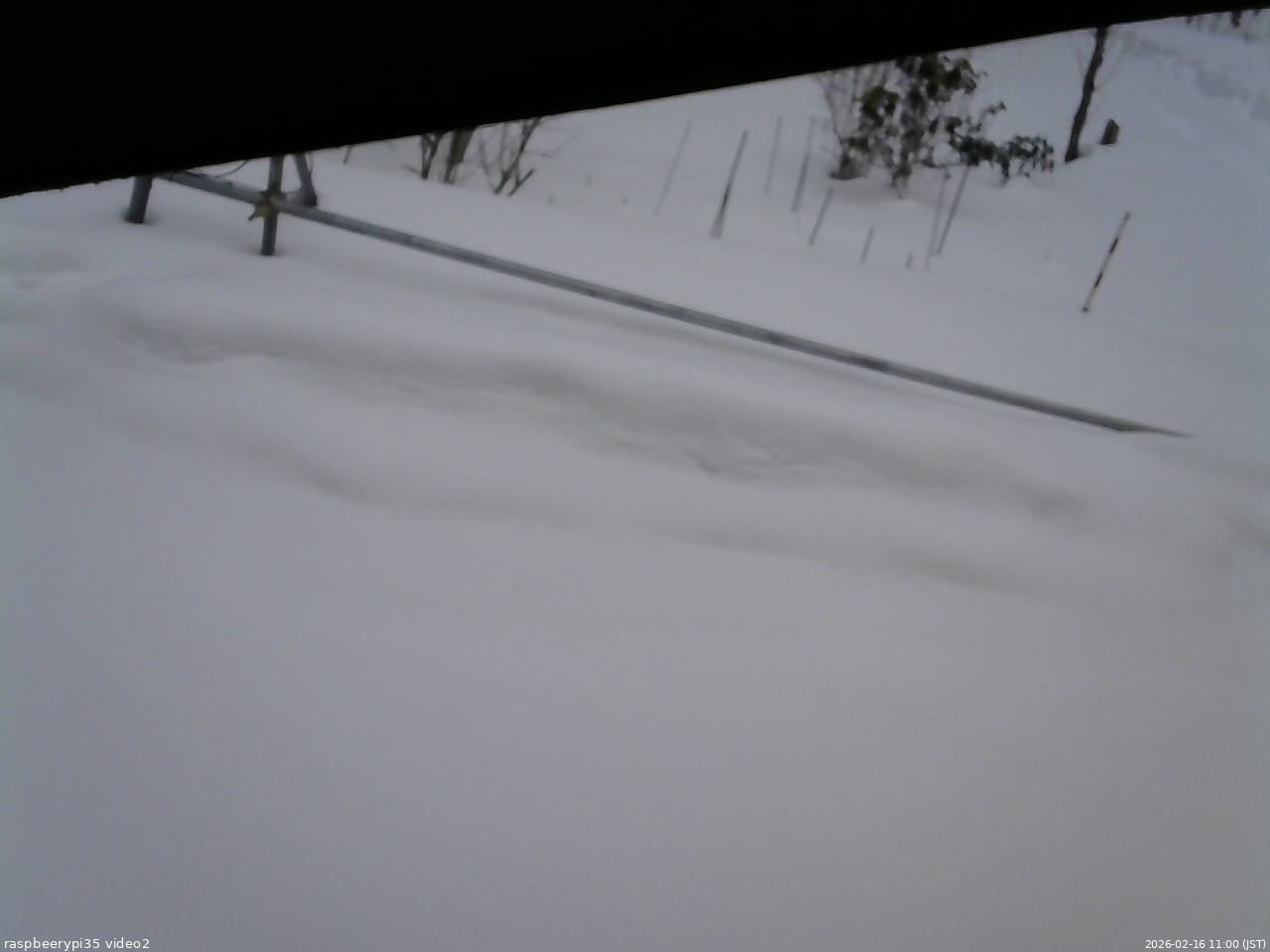 長野県菅平高原 ゆたか山荘 駐車場 2026/02/16 11:00