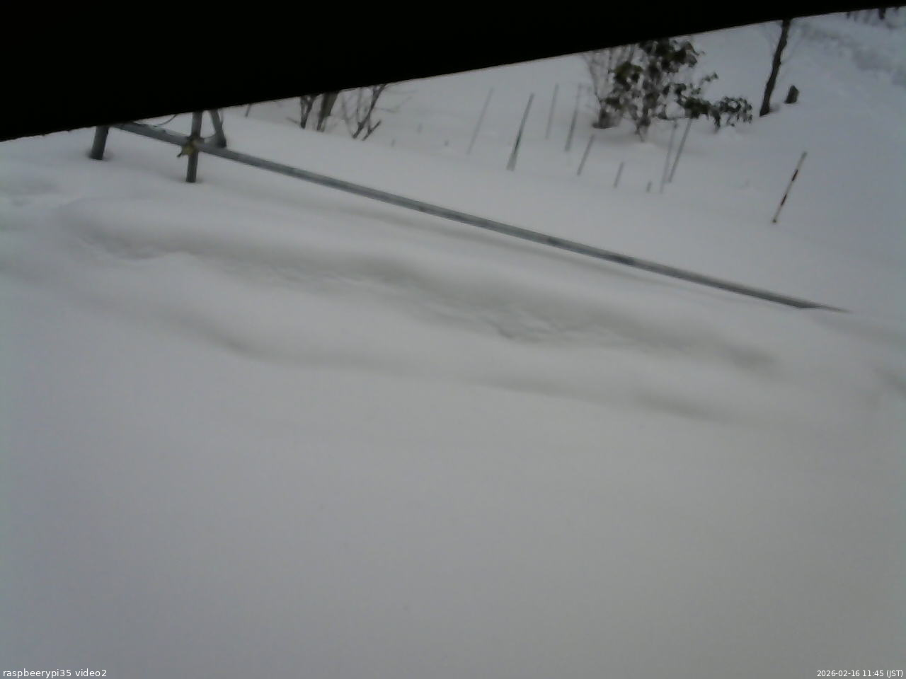 長野県菅平高原 ゆたか山荘 駐車場 2026/02/16 11:45