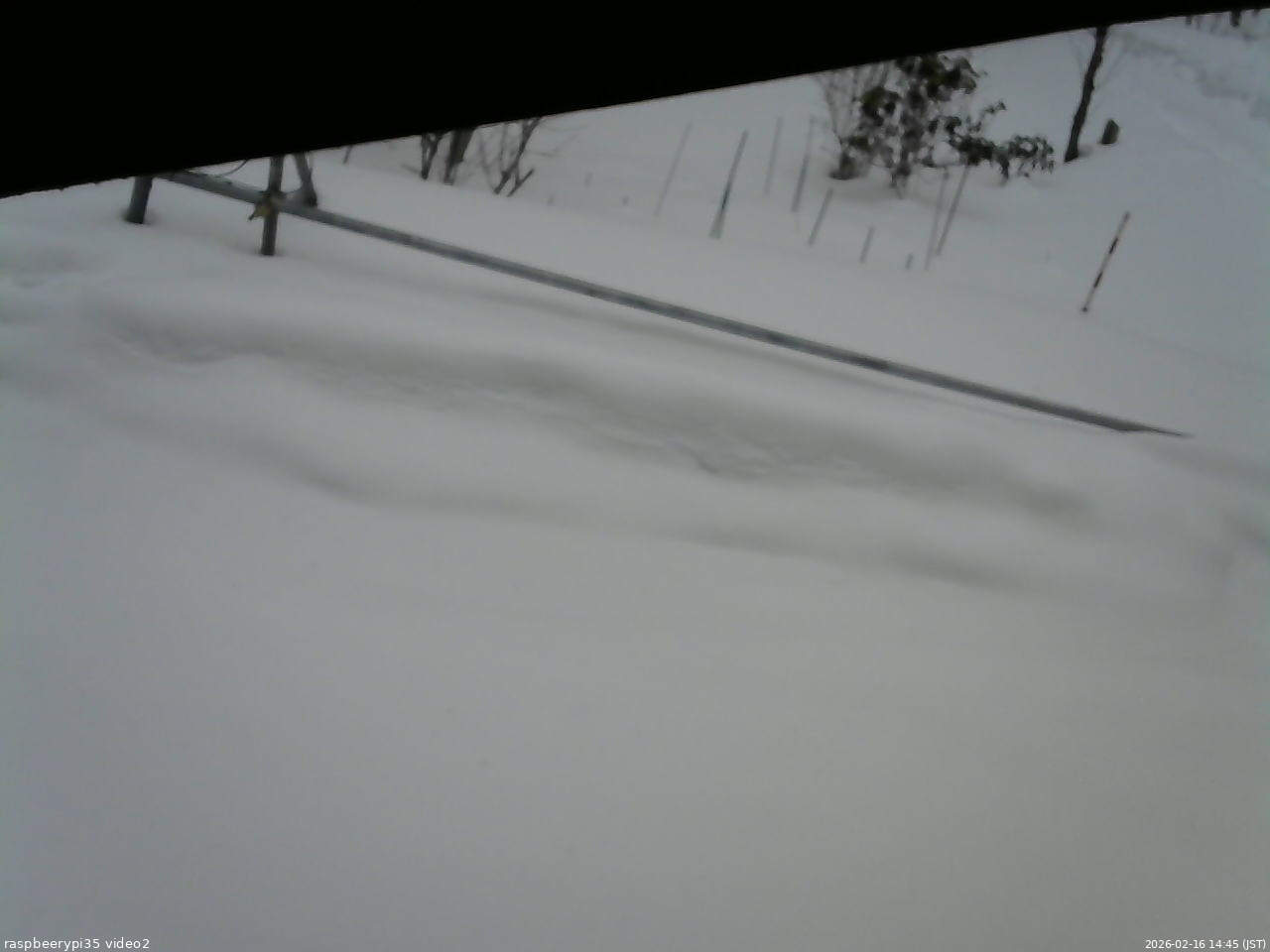 長野県菅平高原 ゆたか山荘 駐車場 2026/02/16 14:45