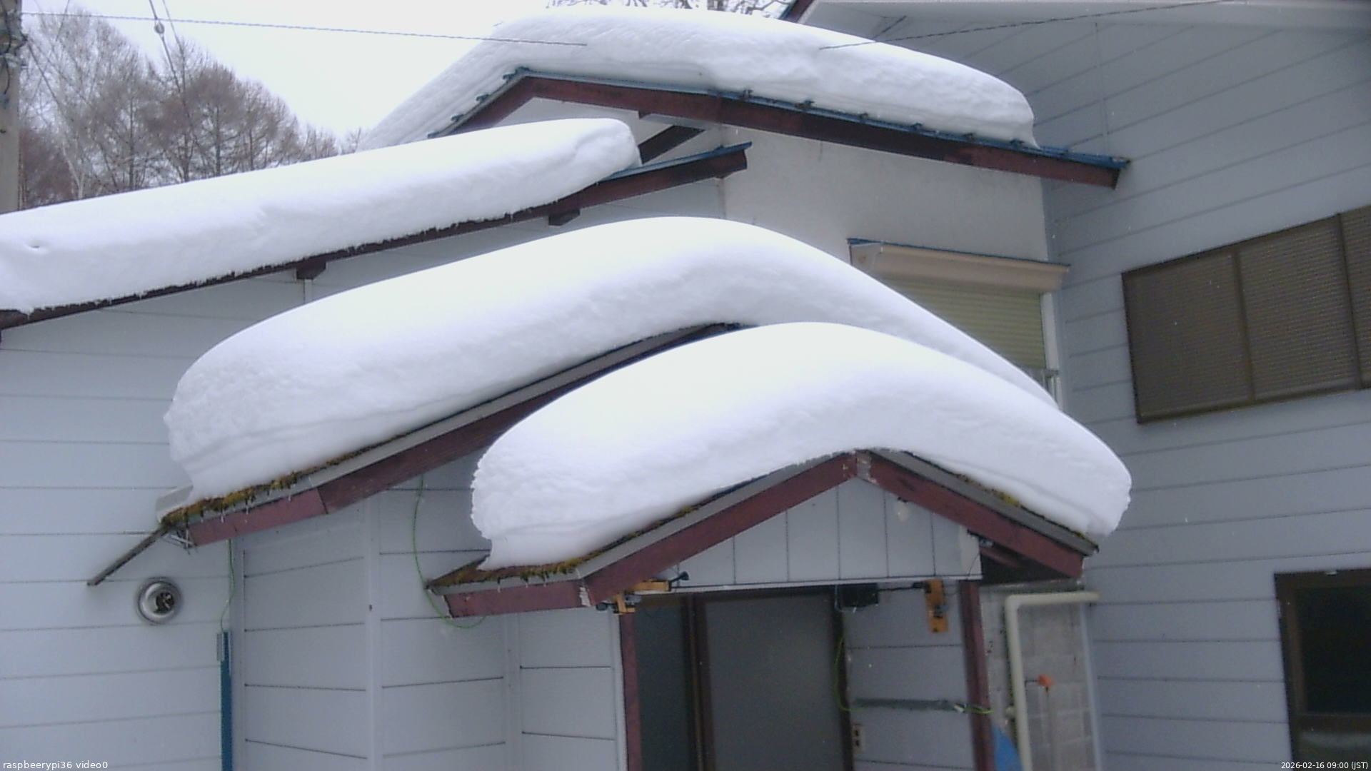 長野県菅平高原 ゆたか山荘 ゆたか山荘 2026/02/16 09:00
