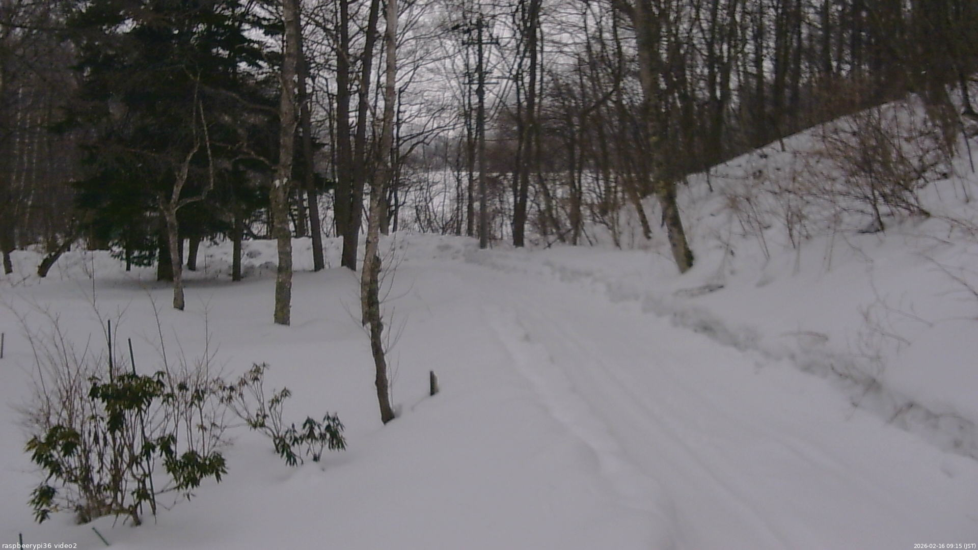 長野県菅平高原 ゆたか山荘 駐車場奥 2026/02/16 09:15