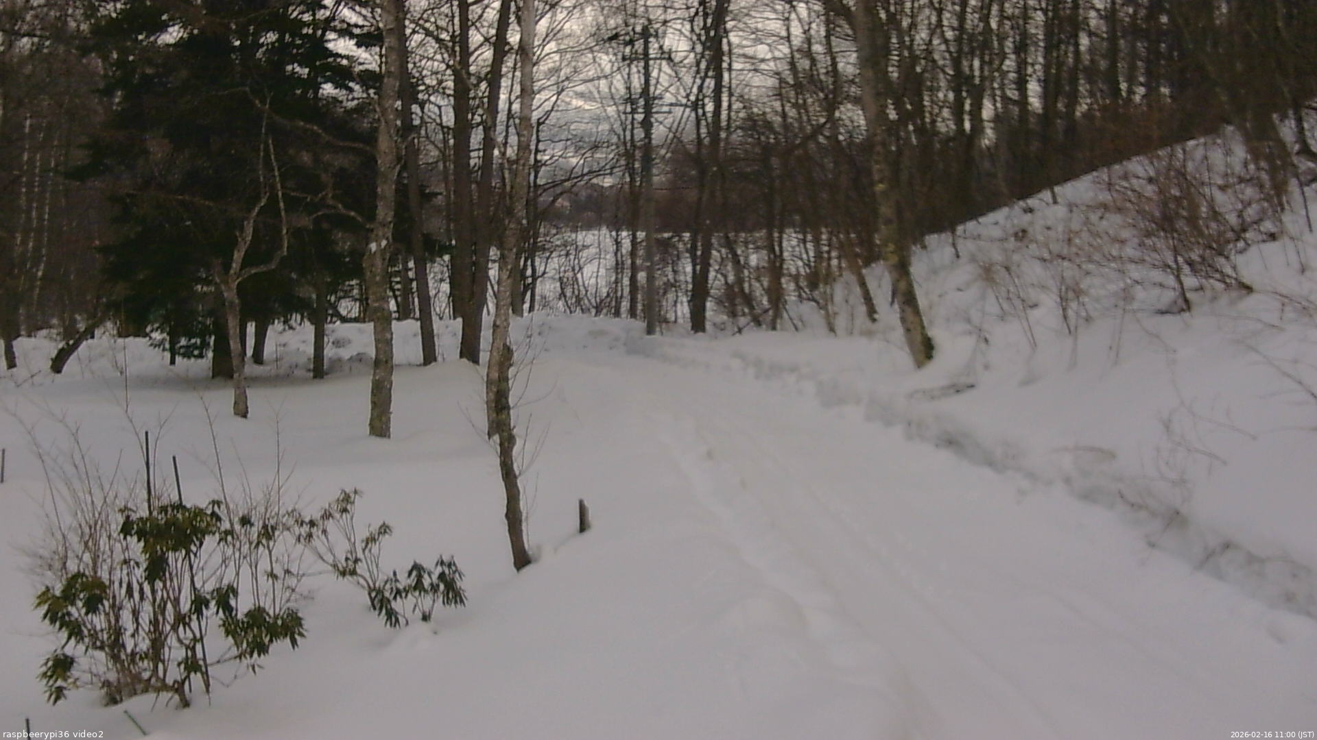 長野県菅平高原 ゆたか山荘 駐車場奥 2026/02/16 11:00