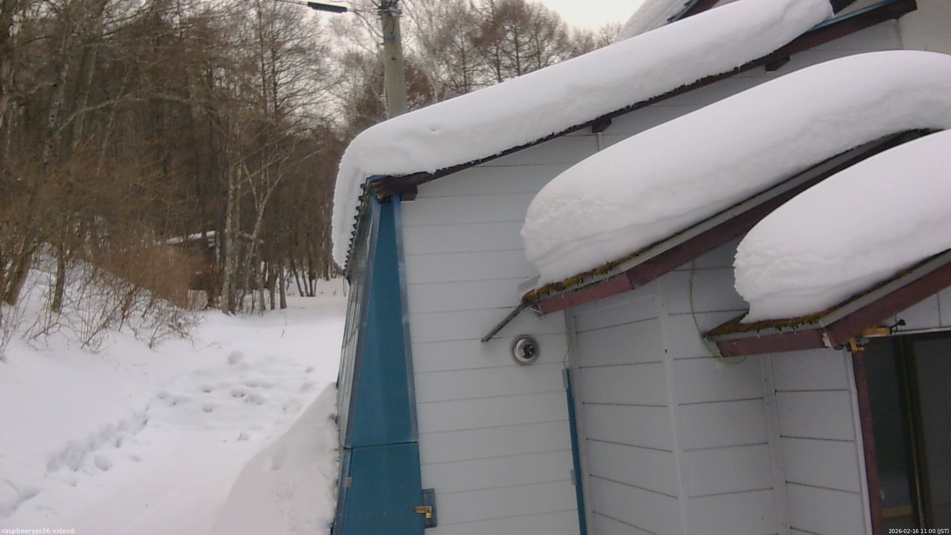 長野県菅平高原 ゆたか山荘 坂下 2026/02/16 11:00