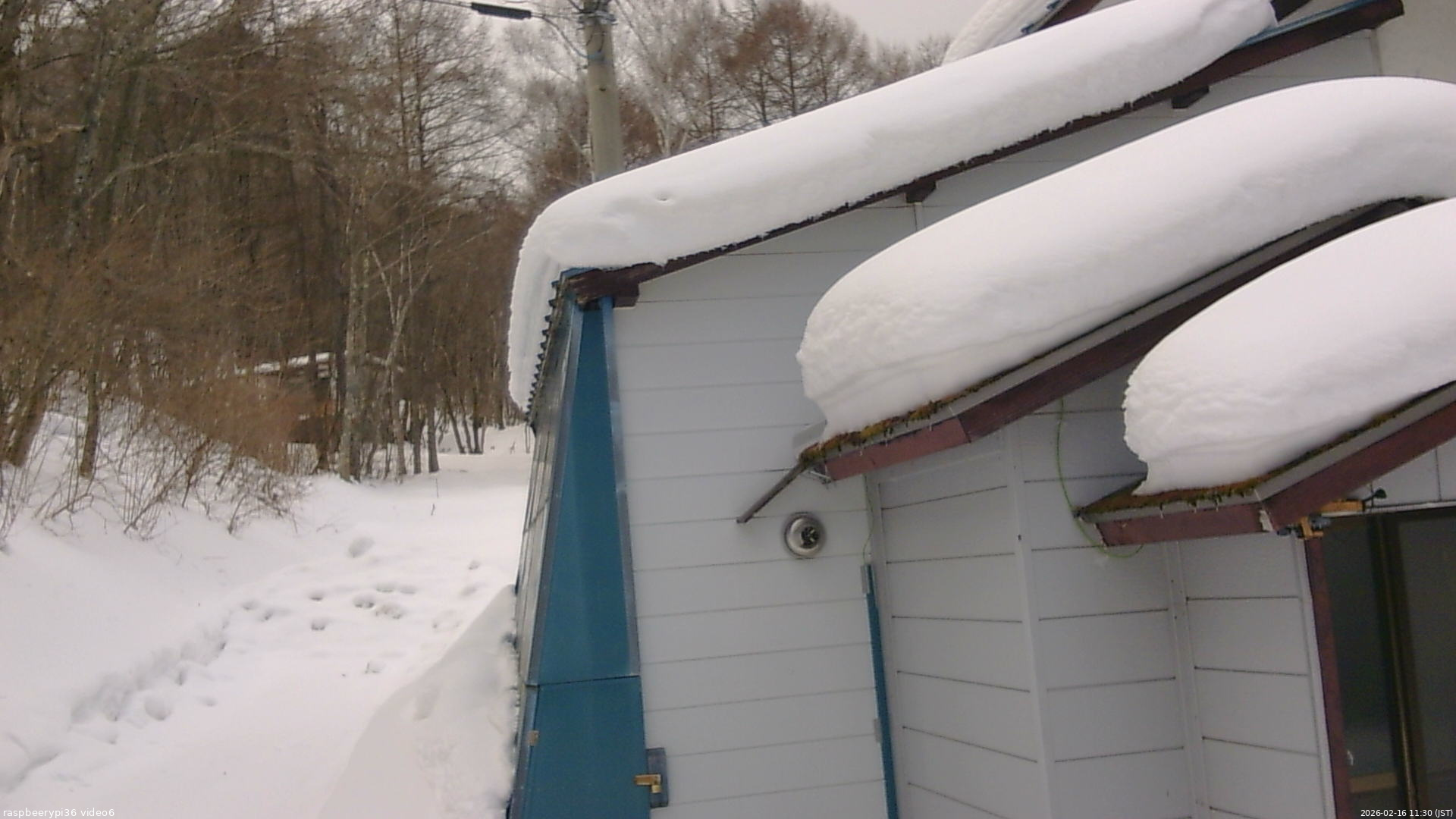 長野県菅平高原 ゆたか山荘 坂下 2026/02/16 11:30