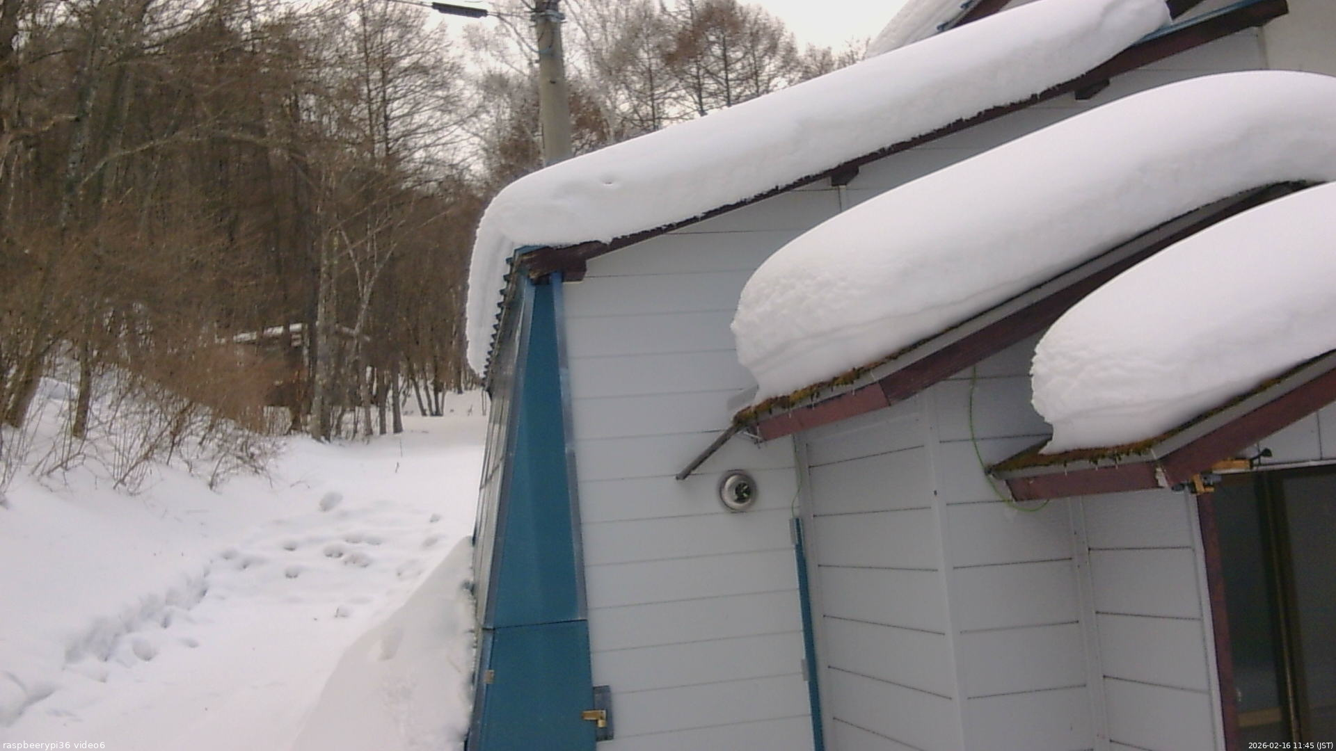 長野県菅平高原 ゆたか山荘 坂下 2026/02/16 11:45