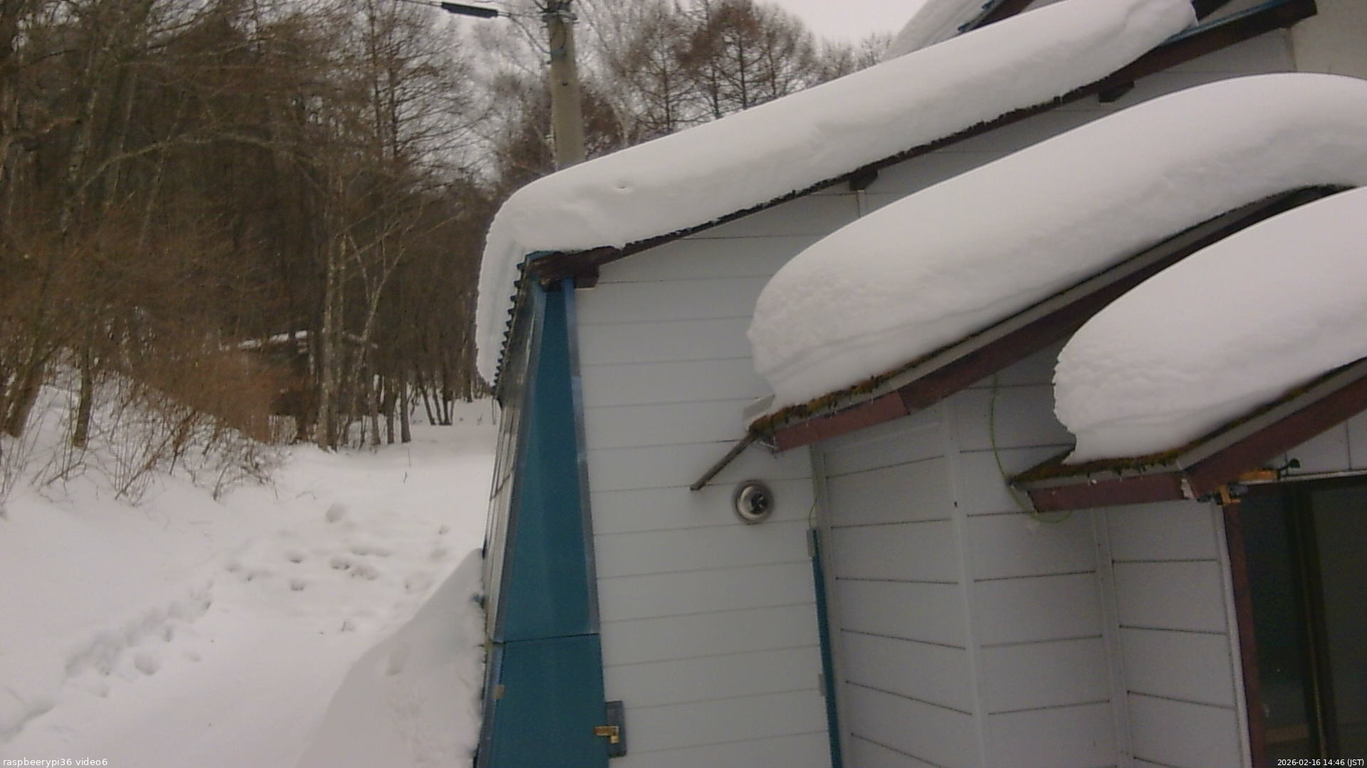 長野県菅平高原 ゆたか山荘 坂下 2026/02/16 14:45