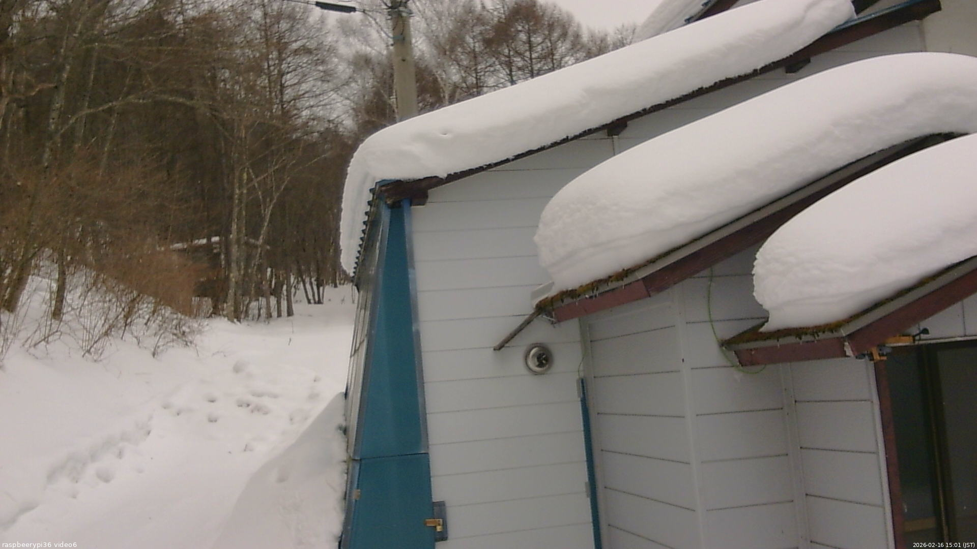 長野県菅平高原 ゆたか山荘 坂下 2026/02/16 15:00