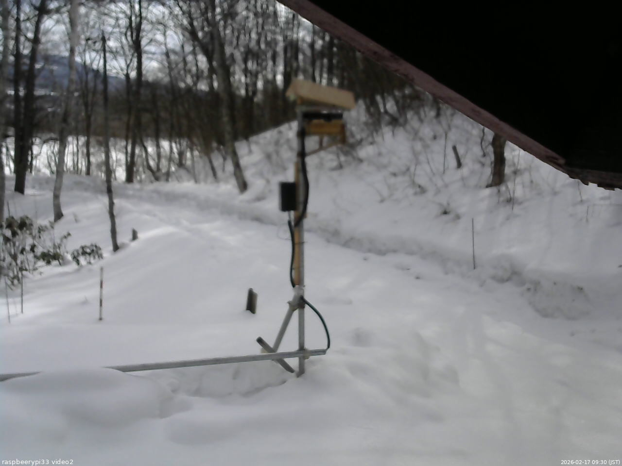 長野県菅平高原 ゆたか山荘 南側 2026/02/17 09:30