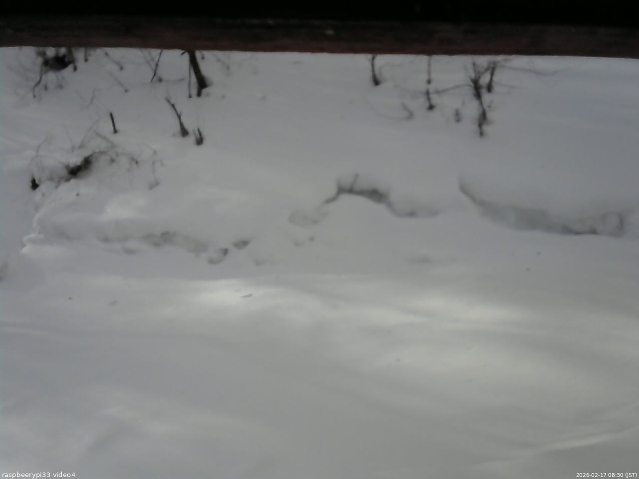 長野県菅平高原 ゆたか山荘 東側(坂下) 2026/02/17 08:30