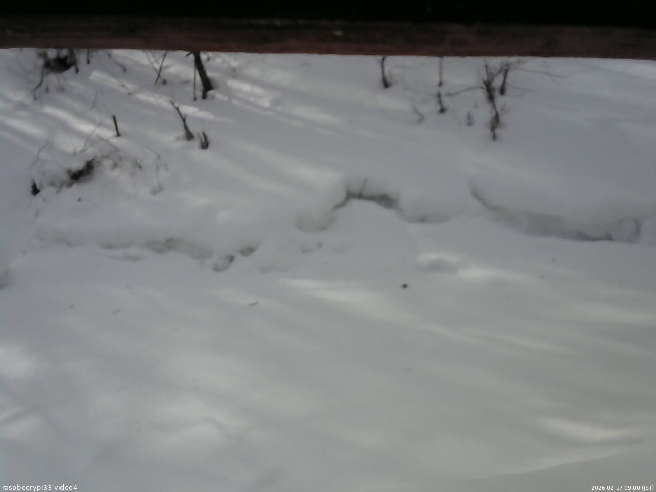 長野県菅平高原 ゆたか山荘 東側(坂下) 2026/02/17 09:00