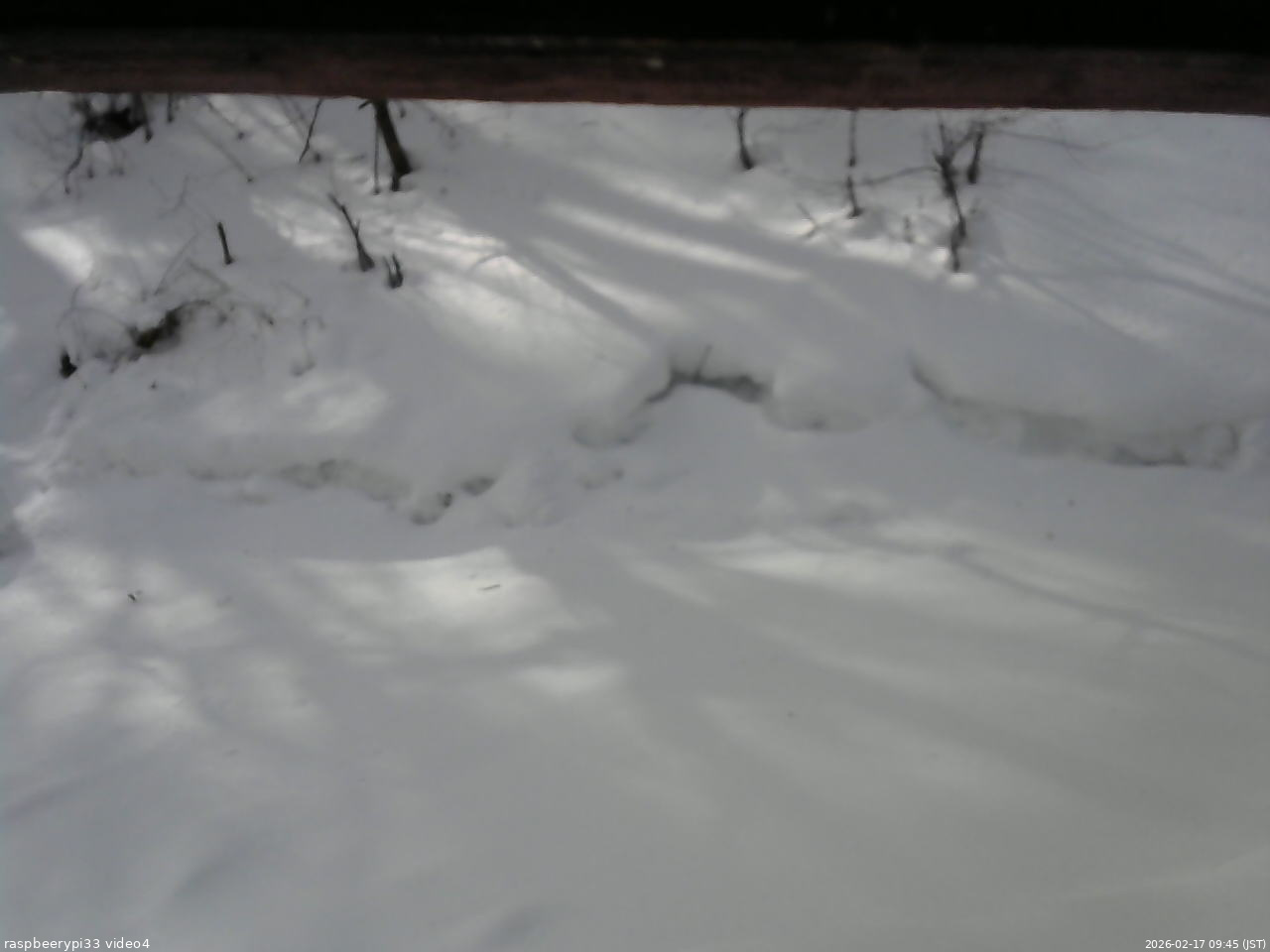 長野県菅平高原 ゆたか山荘 東側(坂下) 2026/02/17 09:45