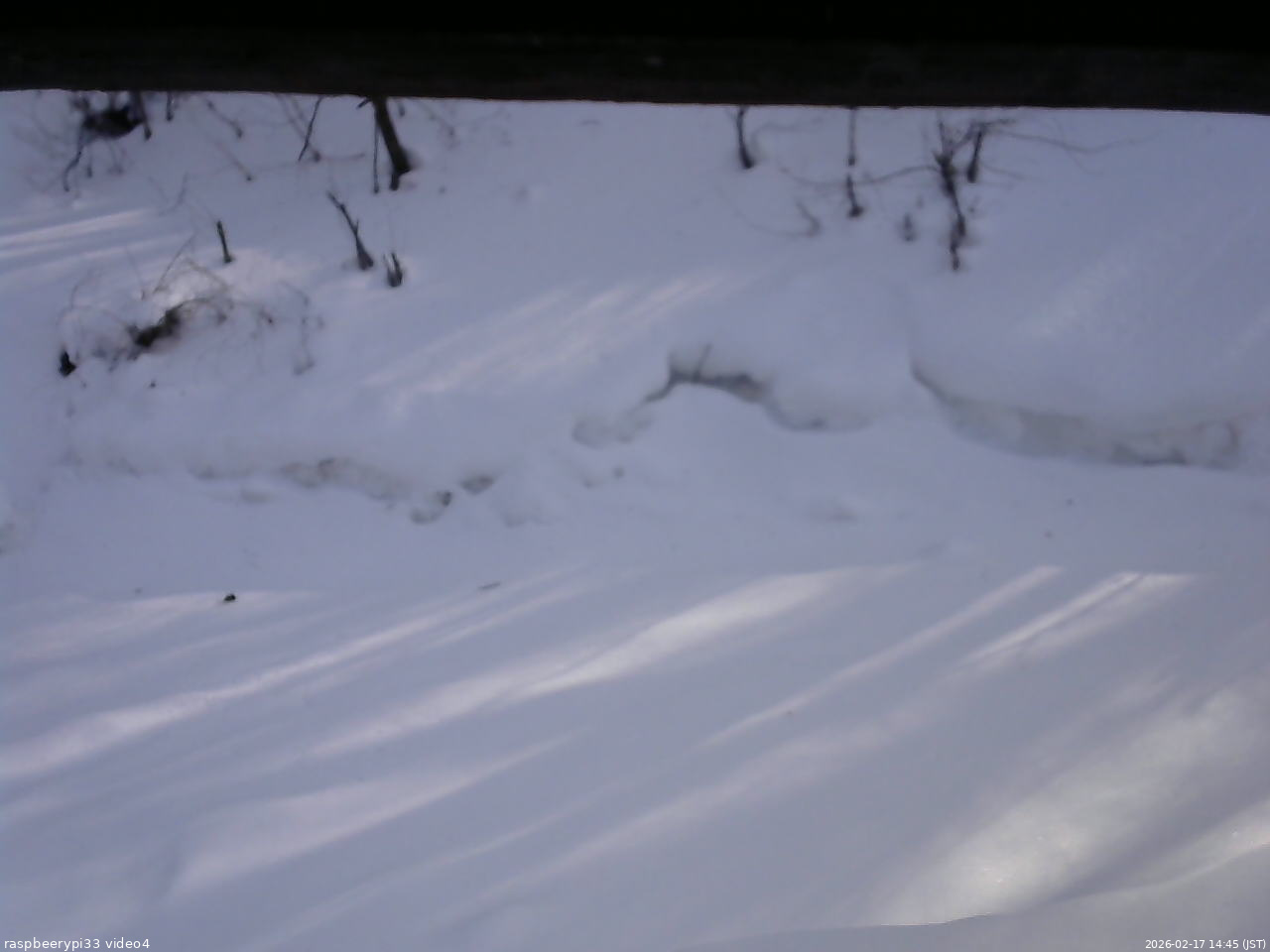 長野県菅平高原 ゆたか山荘 東側(坂下) 2026/02/17 14:45