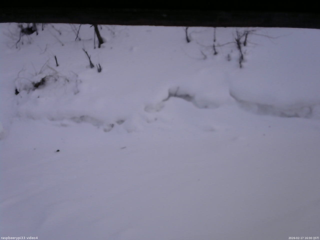 長野県菅平高原 ゆたか山荘 東側(坂下) 2026/02/17 16:00