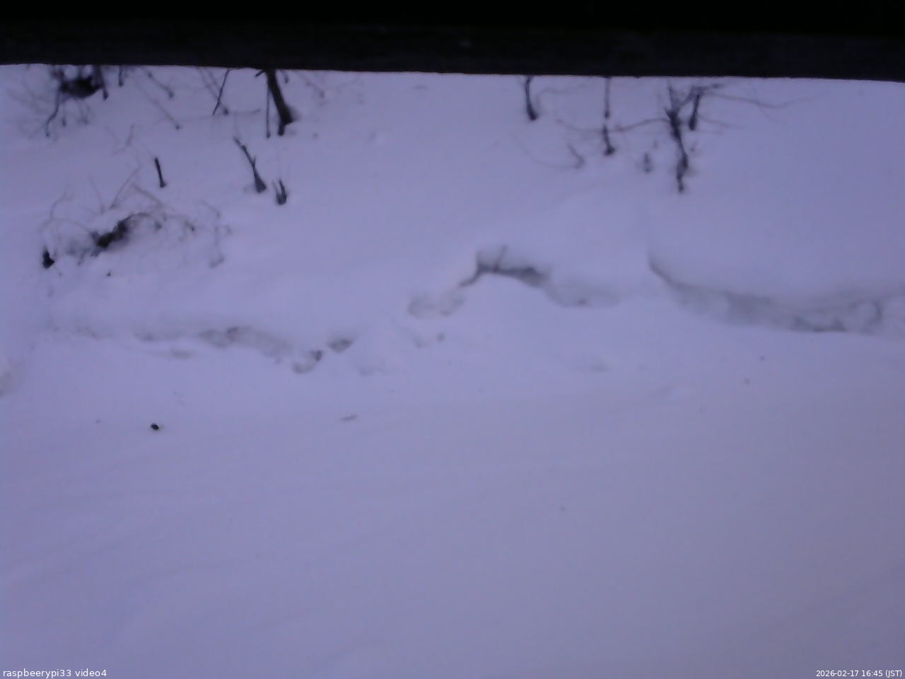 長野県菅平高原 ゆたか山荘 東側(坂下) 2026/02/17 16:45