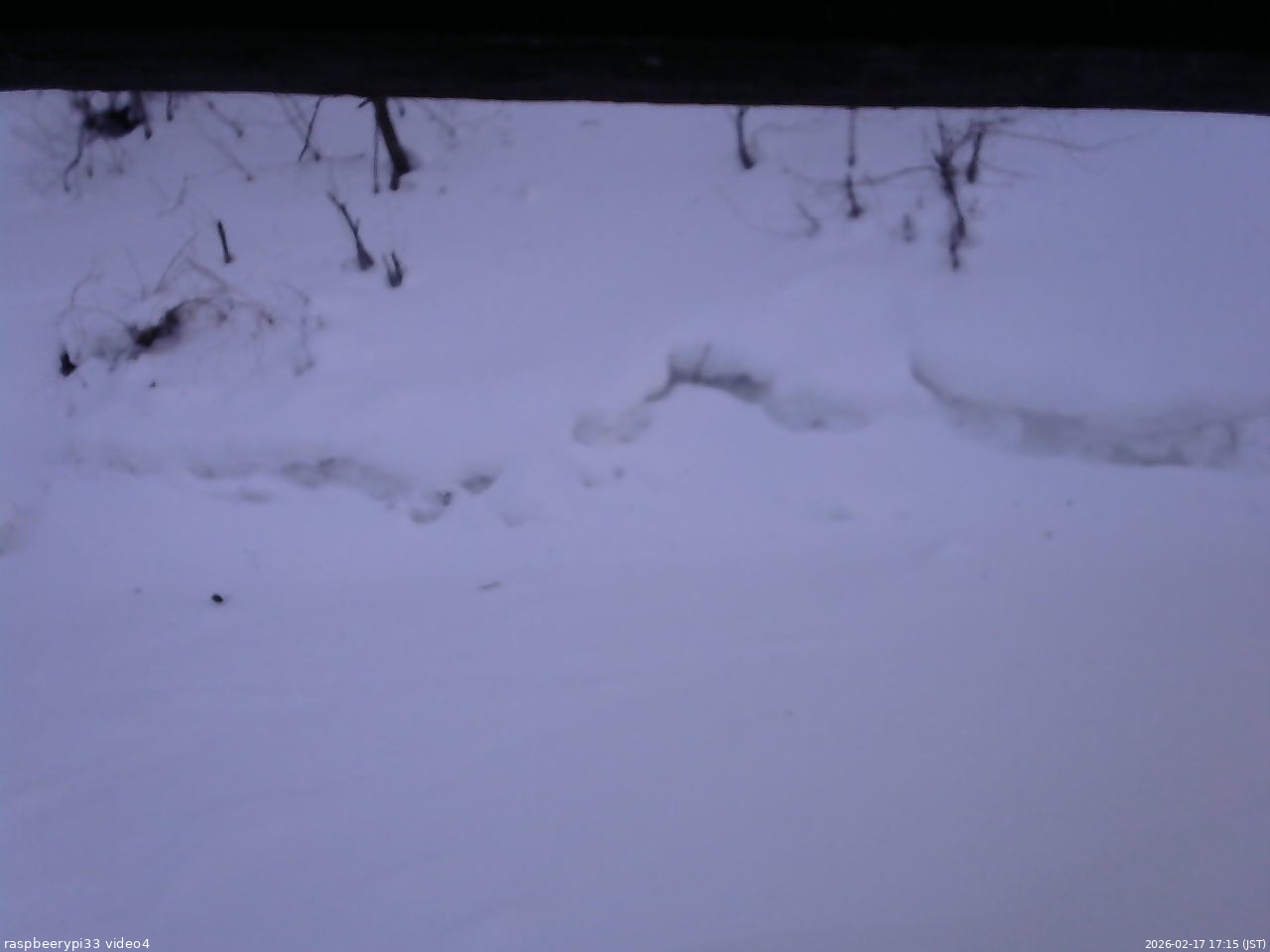 長野県菅平高原 ゆたか山荘 東側(坂下) 2026/02/17 17:15