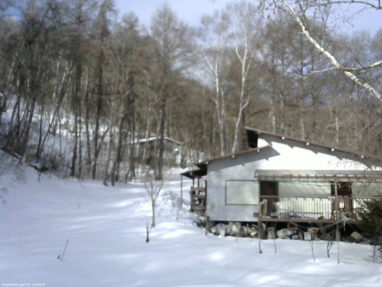 長野県菅平高原 ゆたか山荘 西側(坂上) 2026/02/17 09:00