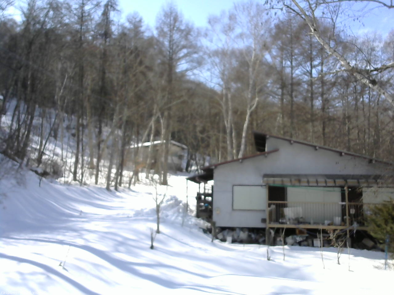 長野県菅平高原 ゆたか山荘 西側(坂上) 2026/02/17 13:30