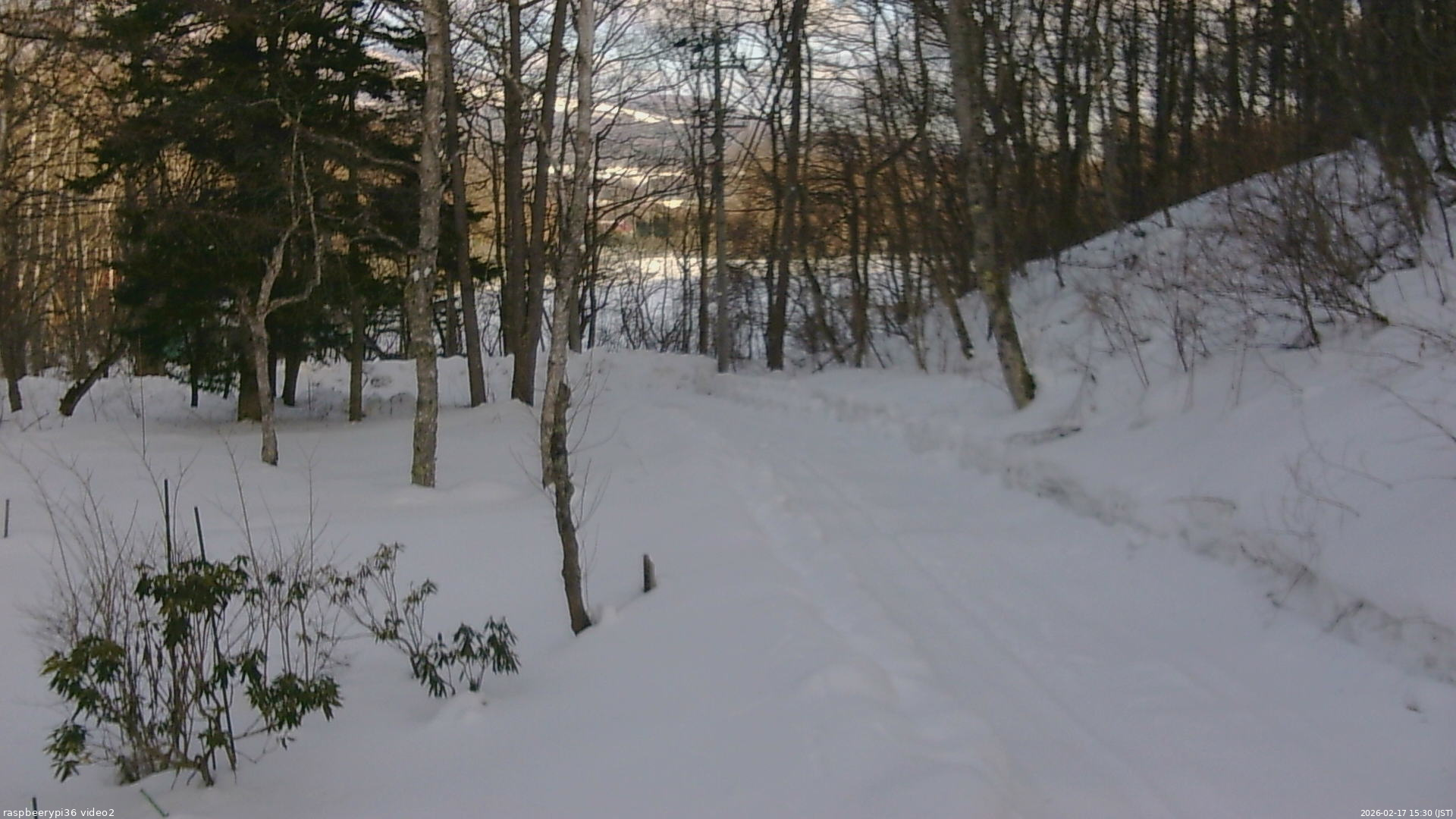 長野県菅平高原 ゆたか山荘 駐車場奥 2026/02/17 15:30