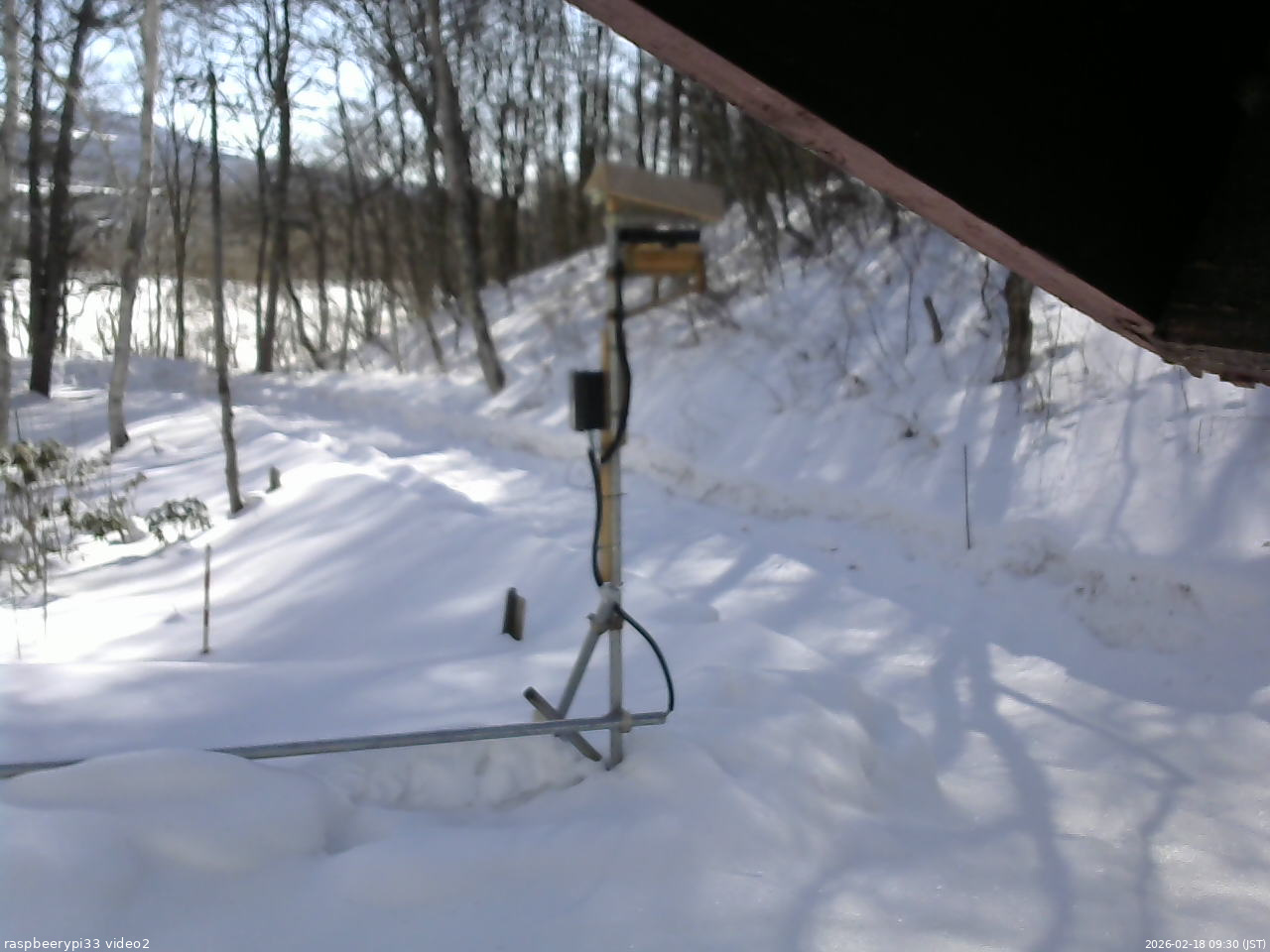 長野県菅平高原 ゆたか山荘 南側 2026/02/18 09:30