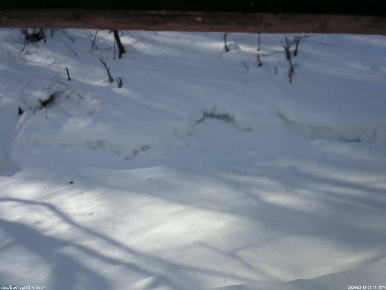 長野県菅平高原 ゆたか山荘 東側(坂下) 2026/02/18 08:45