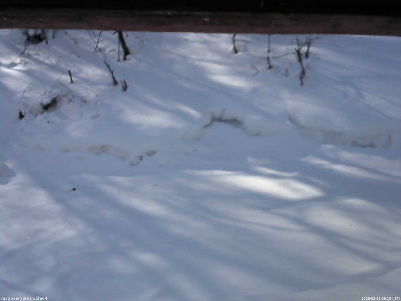 長野県菅平高原 ゆたか山荘 東側(坂下) 2026/02/18 09:15