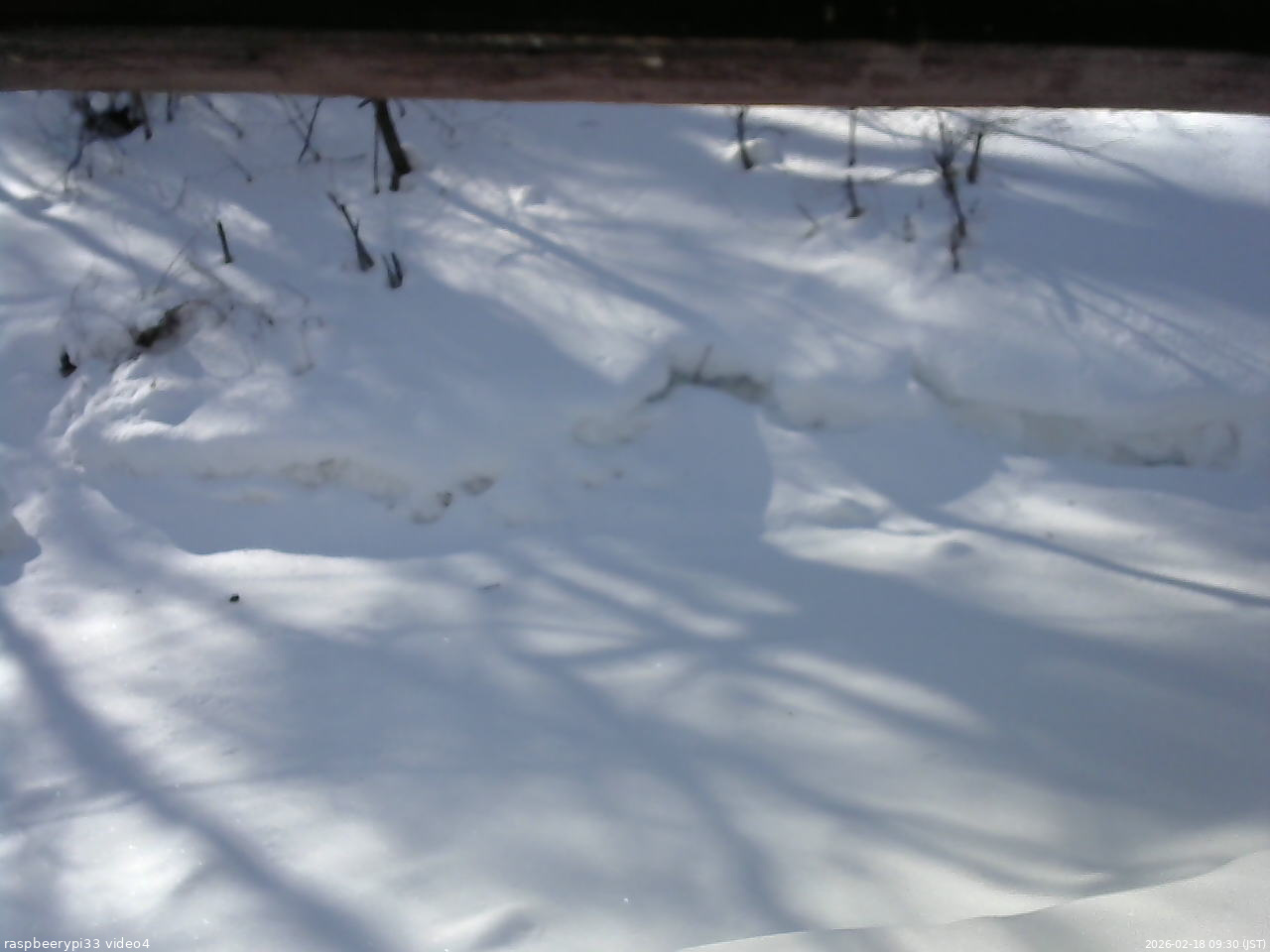 長野県菅平高原 ゆたか山荘 東側(坂下) 2026/02/18 09:30