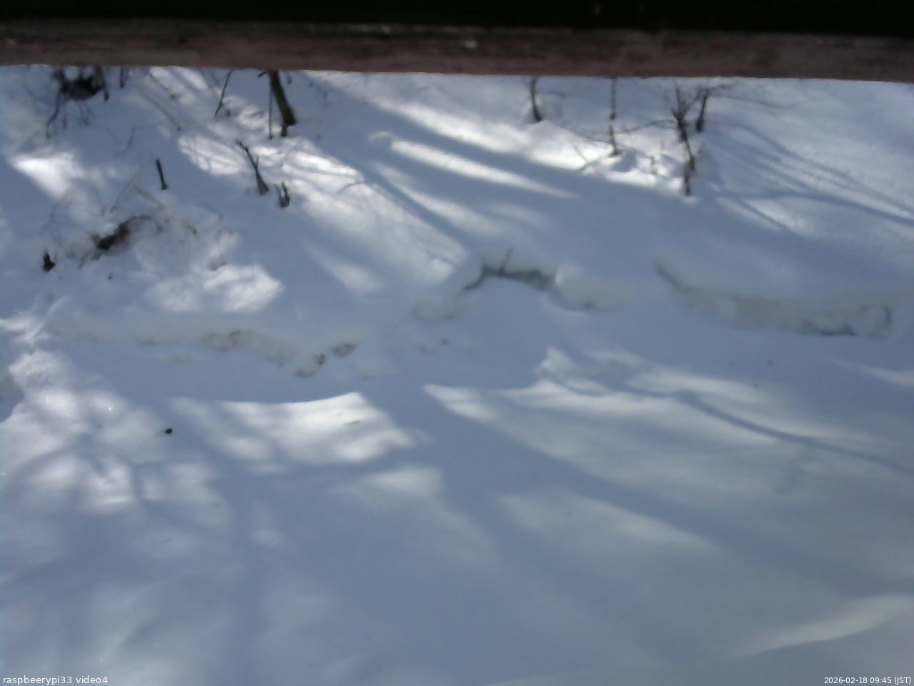長野県菅平高原 ゆたか山荘 東側(坂下) 2026/02/18 09:45