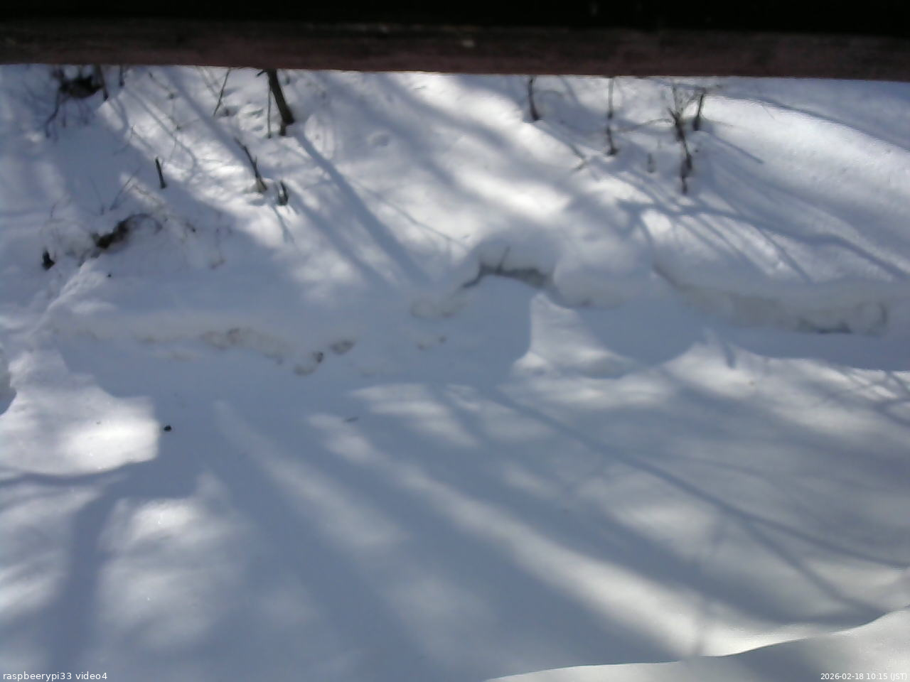 長野県菅平高原 ゆたか山荘 東側(坂下) 2026/02/18 10:15