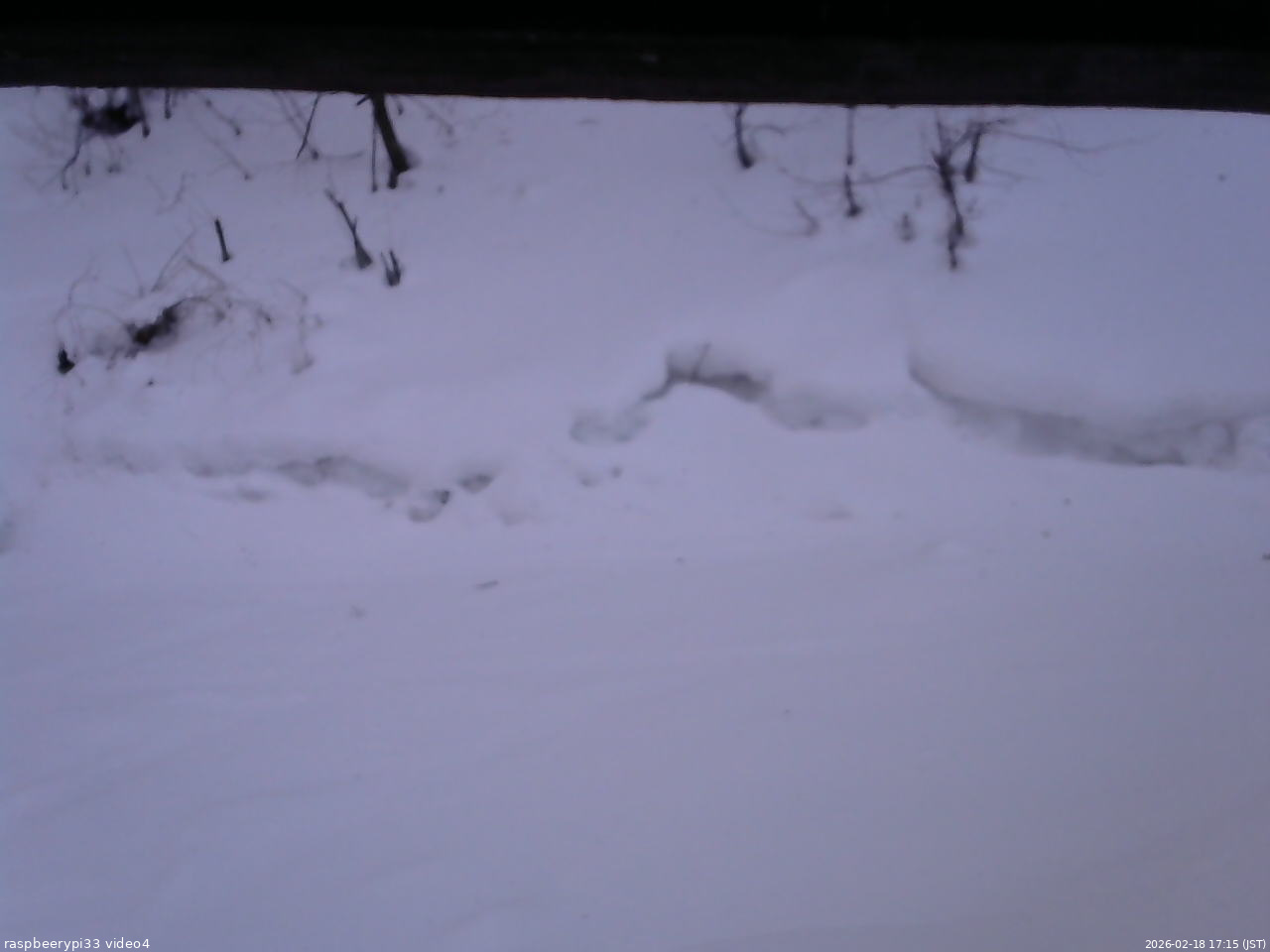 長野県菅平高原 ゆたか山荘 東側(坂下) 2026/02/18 17:15