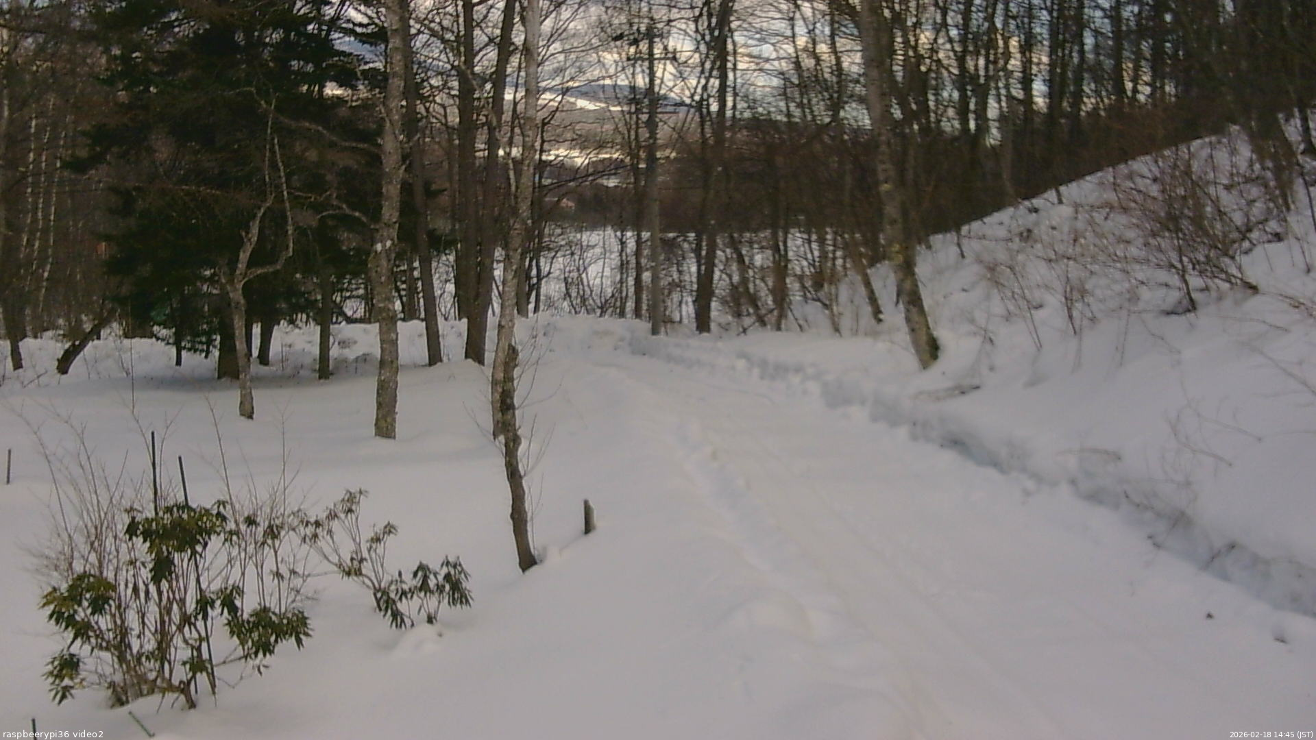 長野県菅平高原 ゆたか山荘 駐車場奥 2026/02/18 14:45