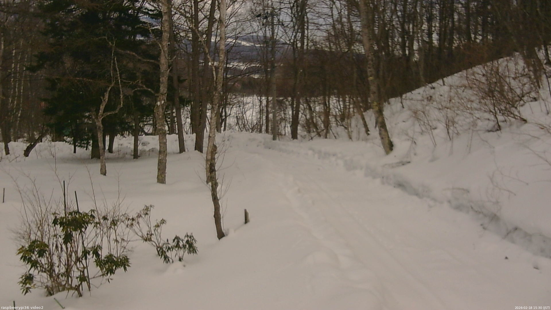 長野県菅平高原 ゆたか山荘 駐車場奥 2026/02/18 15:30