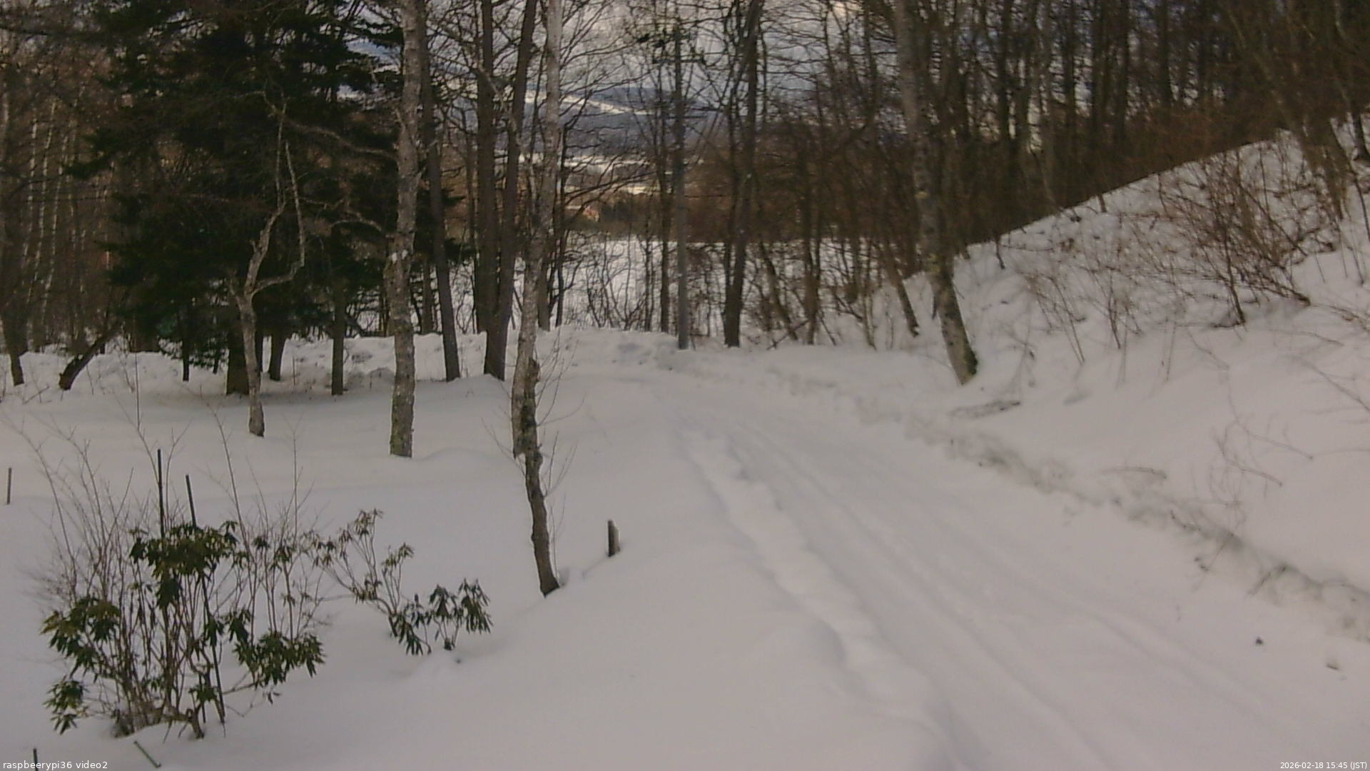 長野県菅平高原 ゆたか山荘 駐車場奥 2026/02/18 15:45