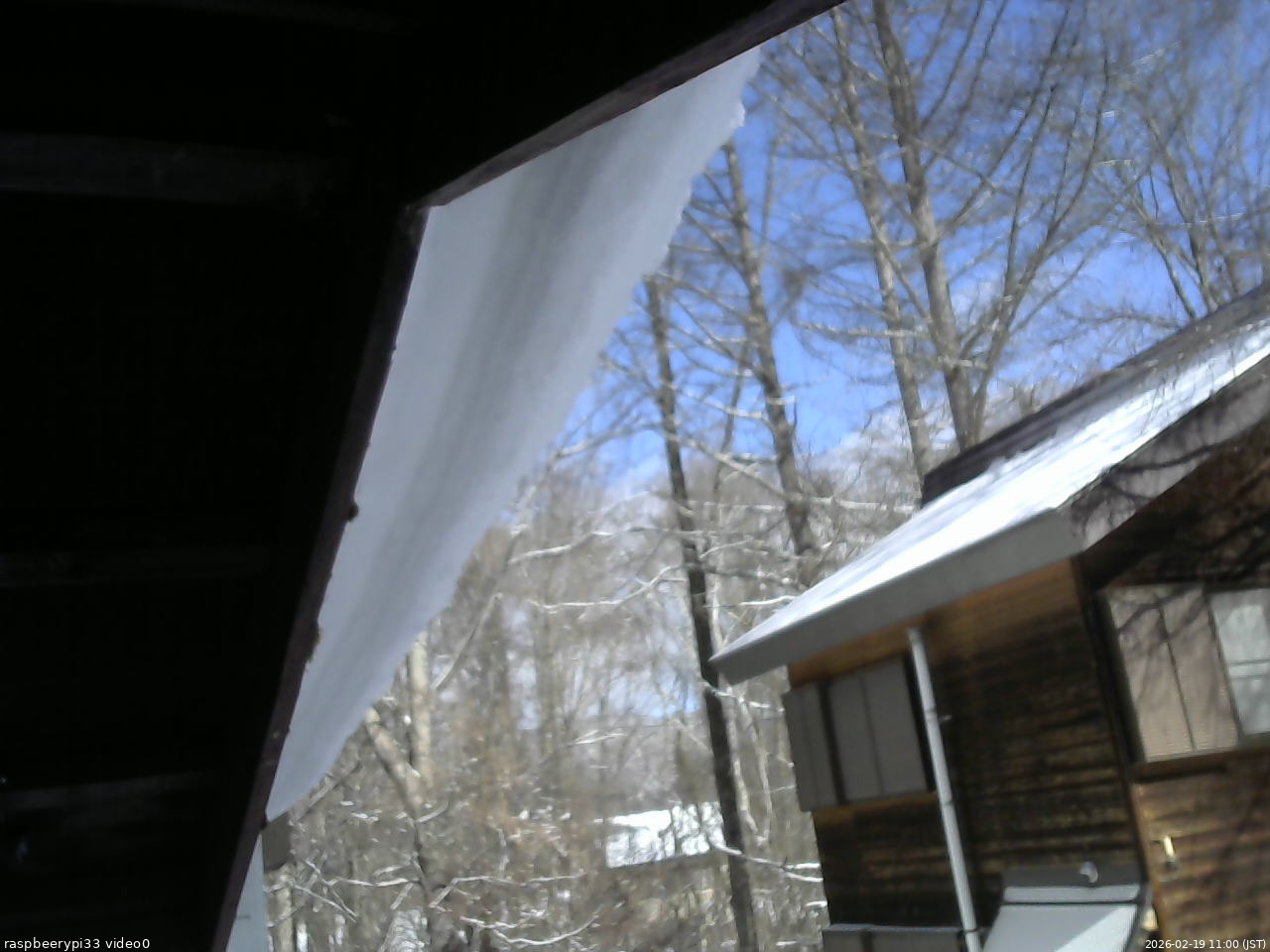 長野県菅平高原 ゆたか山荘 北側 2026/02/19 11:00